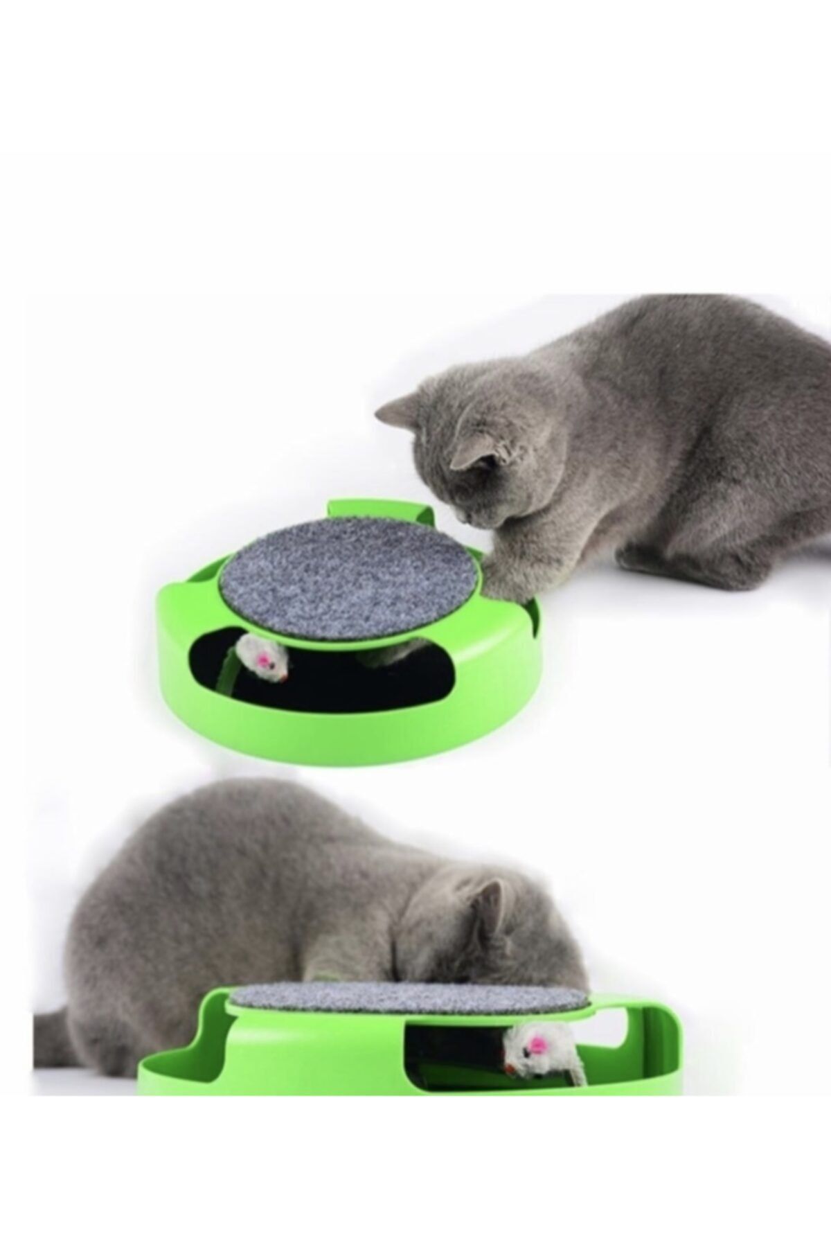 Cmt Catch The Mouse Kedi Oyuncagi Fareli Hareketli Fare Kovalama Oyunu Fiyatlari Ozellikleri Ve Yorumlari En Ucuzu Akakce