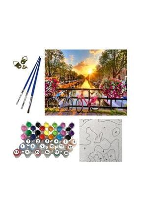Talehobby Sayilarla Boyama Hobi Seti Boyalar Ve Fircalar Dahil Cerceveli 40x50cm Trendyol