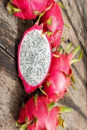 Bilgarden Tuplu Meyve Verme Yasinda Kirmizi Pitaya Ejder Meyvesi Fidani Trendyol