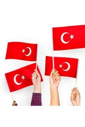 Türk Bayrağı Sopalı Bayrak 30x45cm 10 Adet copysopalı6