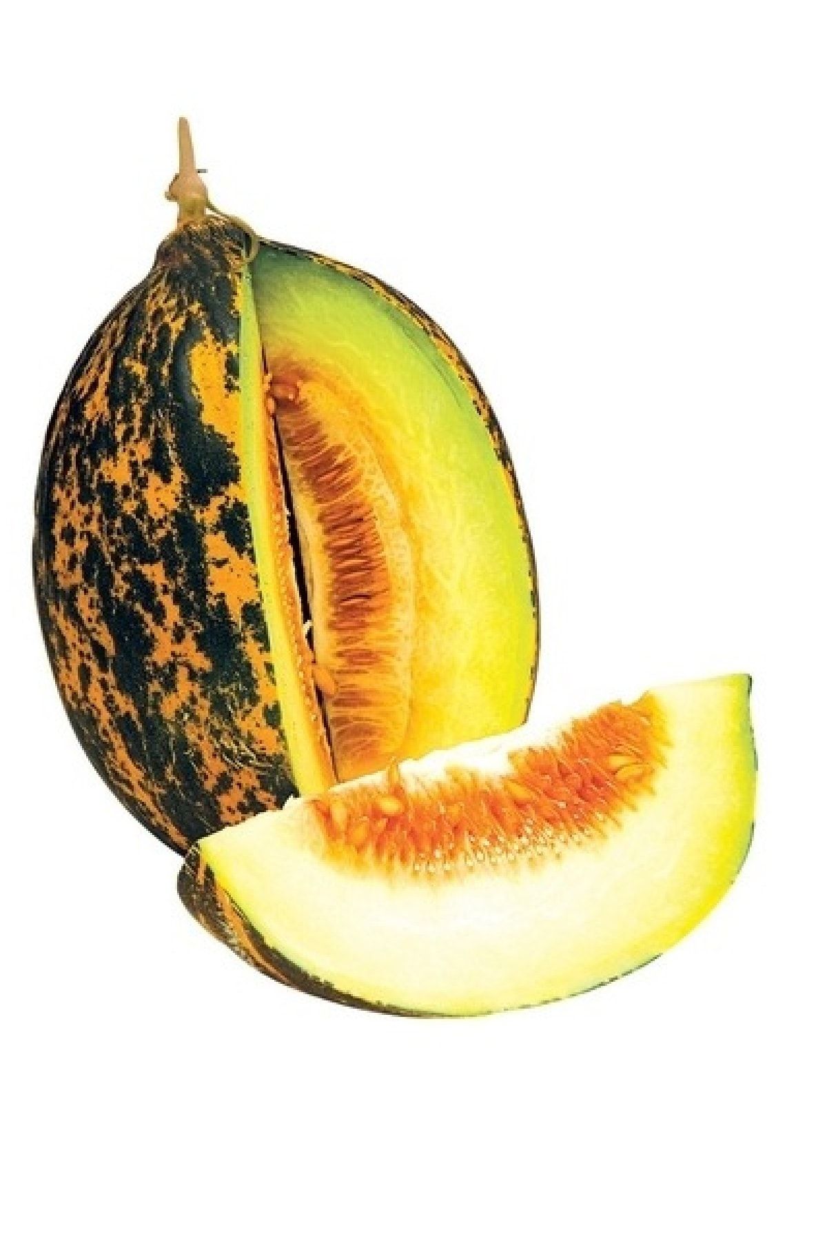 Kırkağaç Kavun