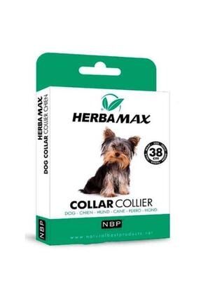 Herba Max Kopek Pire Tasmasi Trendyol
