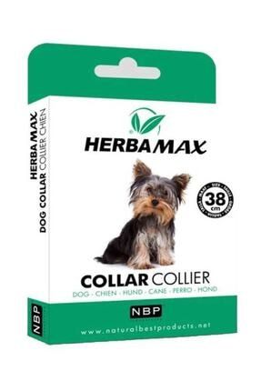 Bio Petactive Nature Magela 10 20 Kg Kopek Pire Damlasi 3 X 3 Ml Trendyol