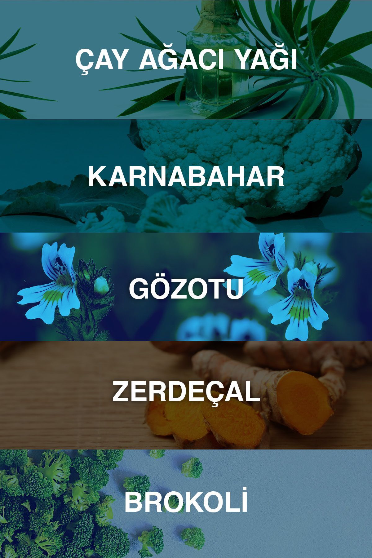 ژل شستشوی صورت متعادل کننده سبوم آکنیوم 200 میلی لیتر Bioxcin