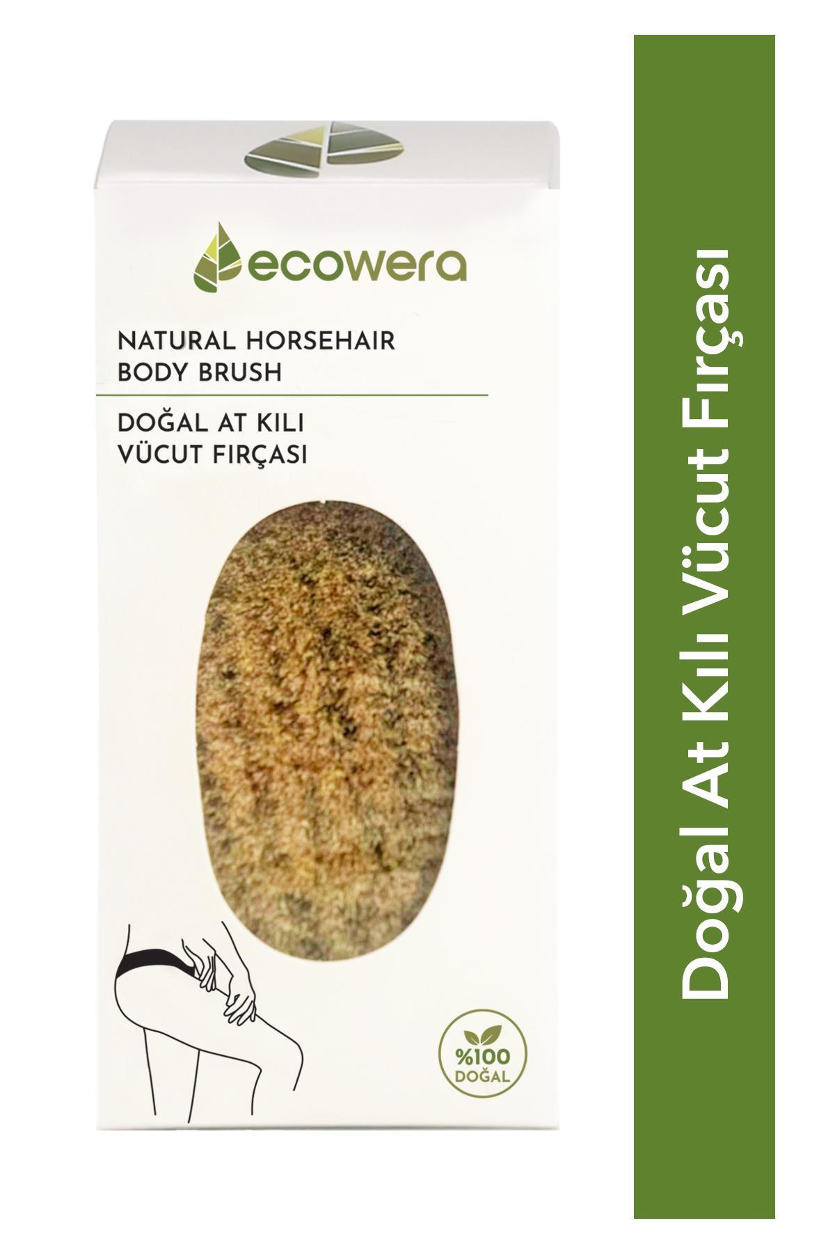 برس سلولیت  Ecowera 830581073