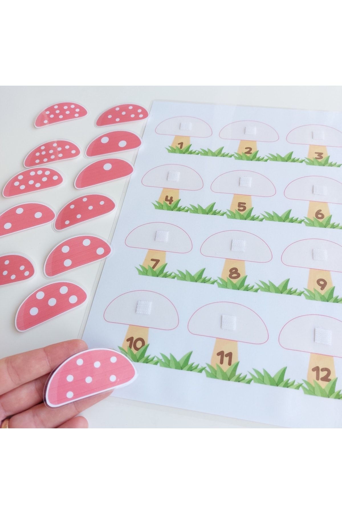 فعالیت شمردن و جایگذاری