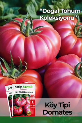 Patika Botanik 200 Adet Ata Tohumu Yerli Yerli Köy Tipi Domates