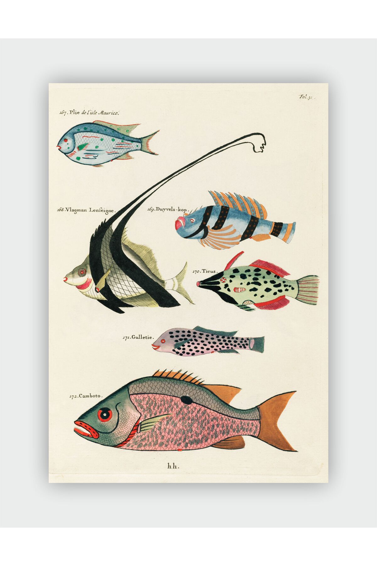 Fish and Marine Vintage Art Wall Poster - Thick Paper - Frameless