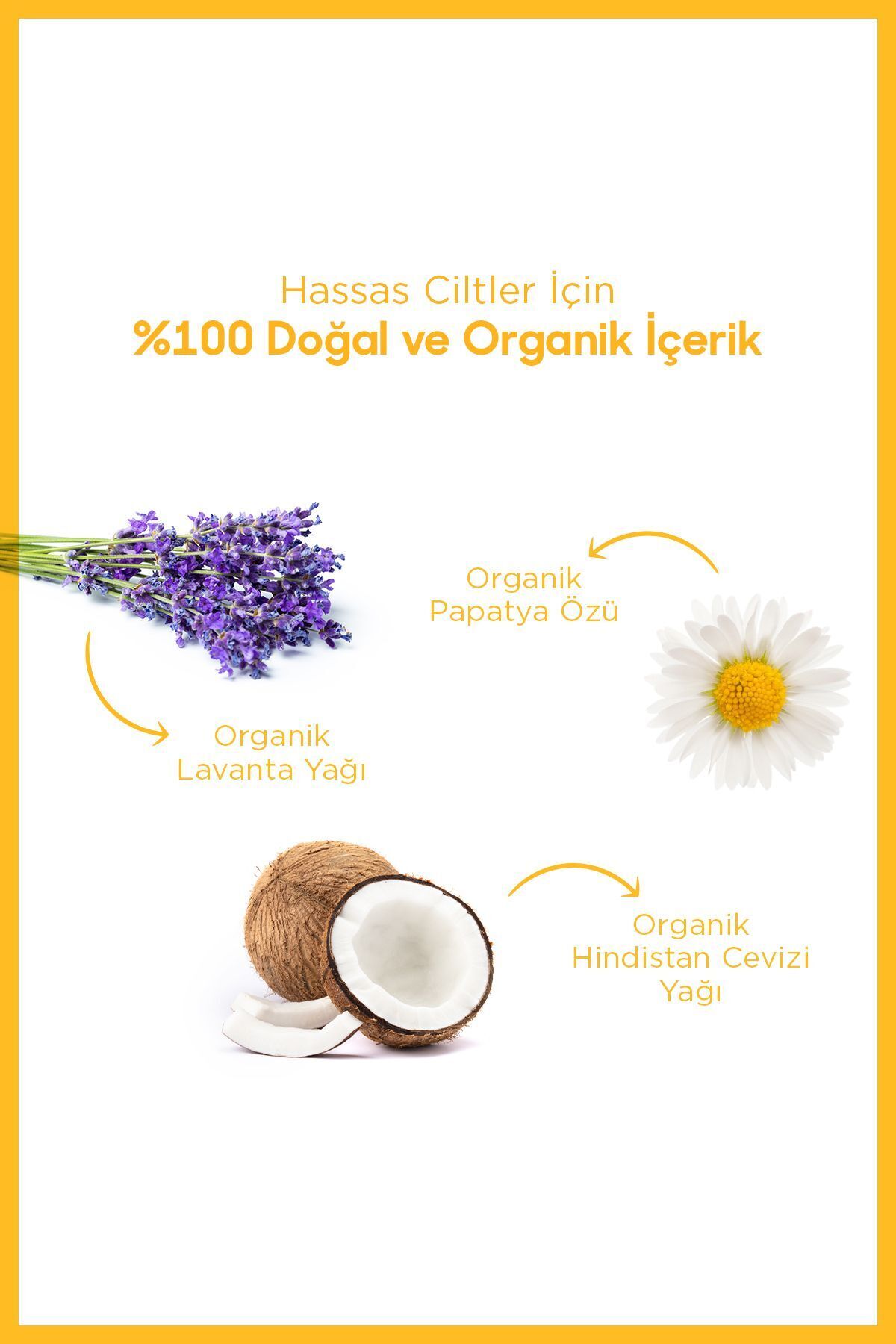 Heaven on Earth Konak Önleyici Bebek Köpük Şampuanı %100 Doğal Organik Papatya Lavanta Parabensiz Vegan fotoğrafı 3 (önizleme)