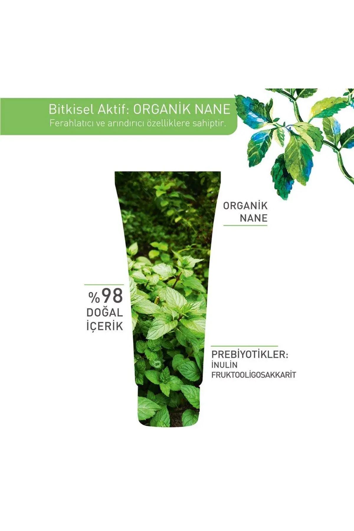 Pure Menthe Kömür Maske - Carest Cosmetic — Menthe - CarestCosmetic — تصویر 4 از 5