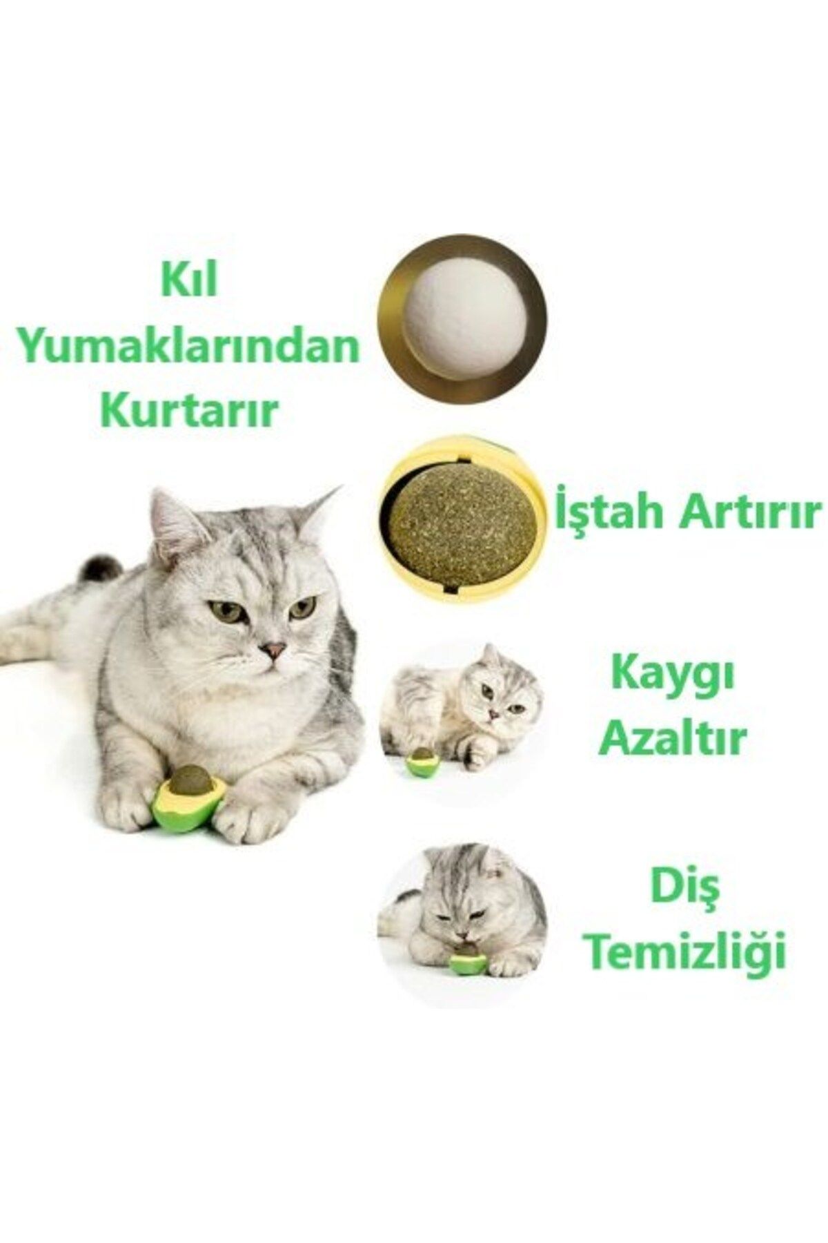 Petfolk-Avocado Catnip 360 Degree Rotating Catnip - Adhesive Toy 3