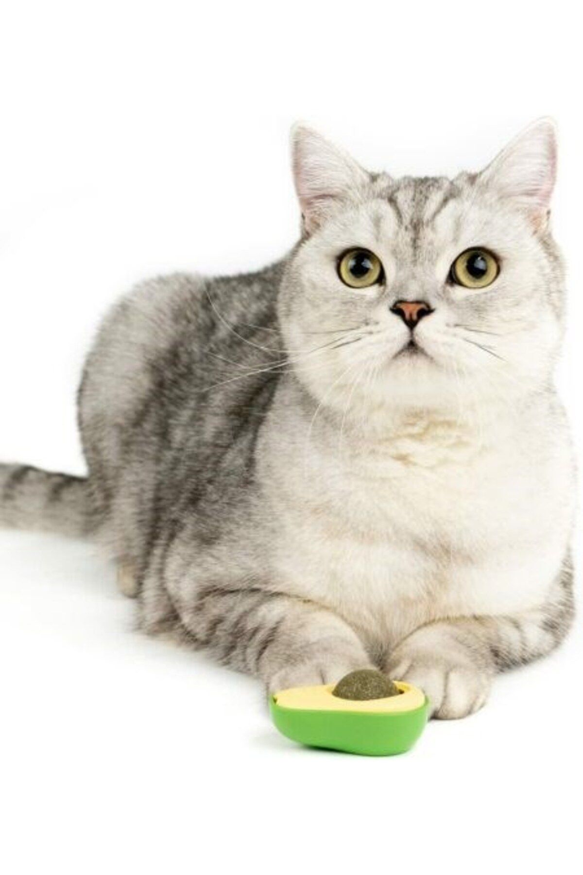 Petfolk-Avocado Catnip 360 Degree Rotating Catnip - Adhesive Toy 6