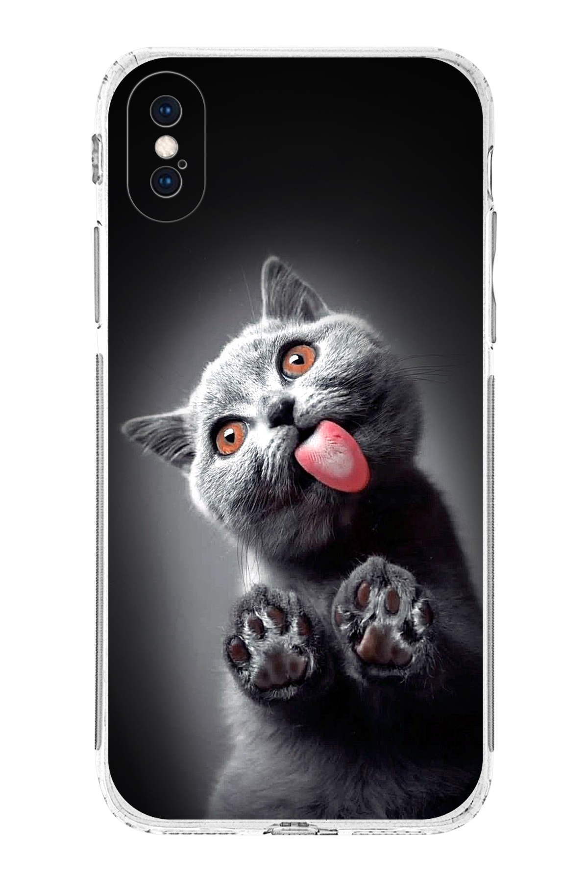 PrintiFy Apple iPhone XS ile Uyumlu Kedi 2 Kamera Korumalı Şeffaf Kılıf