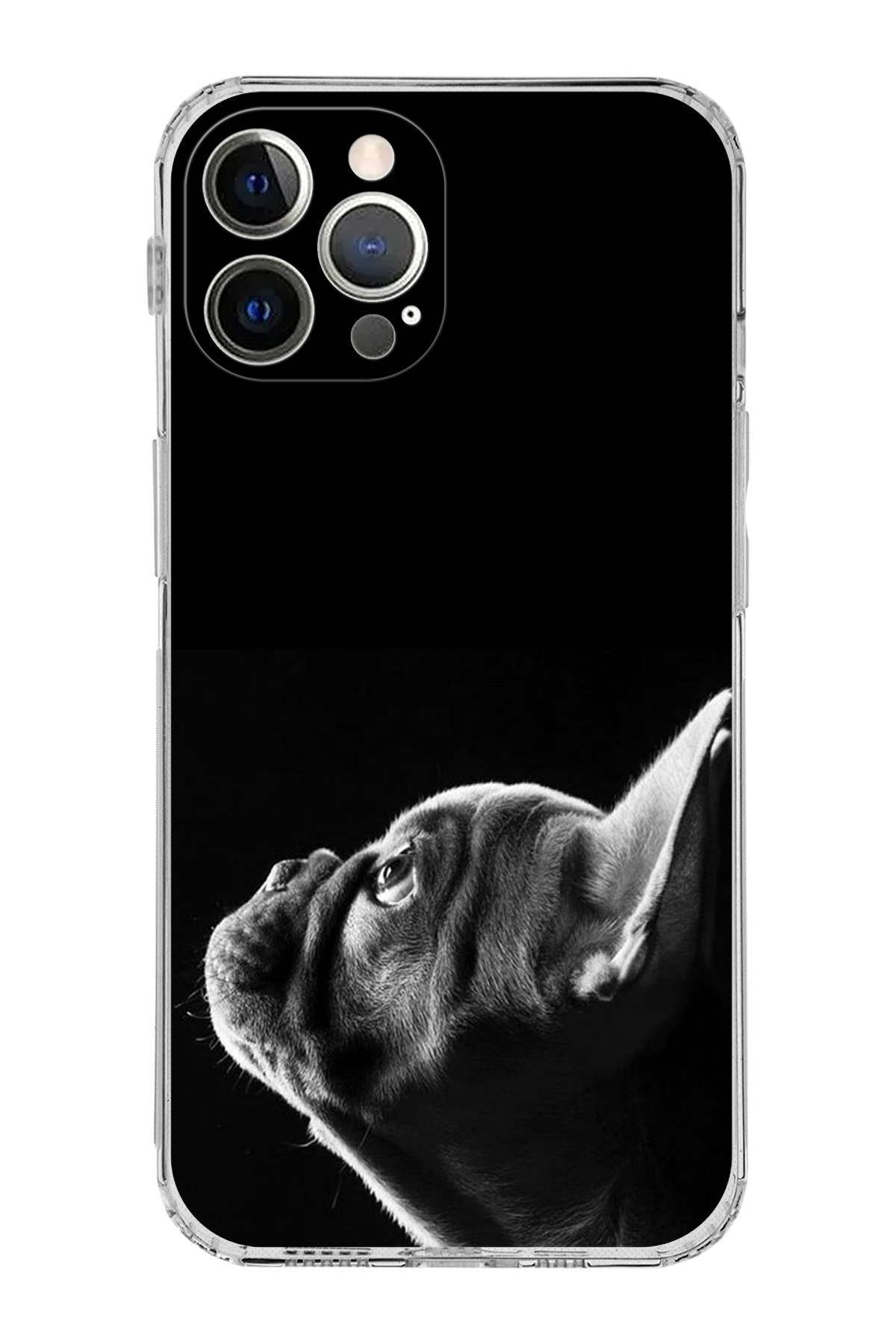 PrintiFy Apple iPhone 12 Pro Max ile Uyumlu Köpek 1 Kamera Korumalı Şeffaf Kılıf