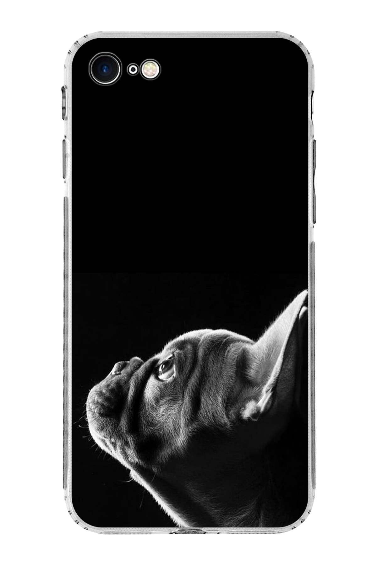 PrintiFy Apple iPhone SE 2022 ile Uyumlu Köpek 1 Kamera Korumalı Şeffaf Kılıf