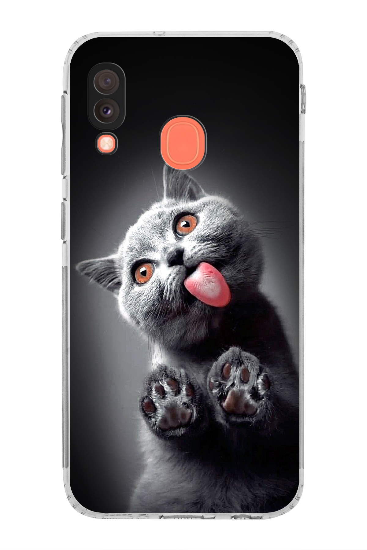Samsung Galaxy A20e ile Uyumlu Kedi 2 Kamera Korumalı Şeffaf Kılıf