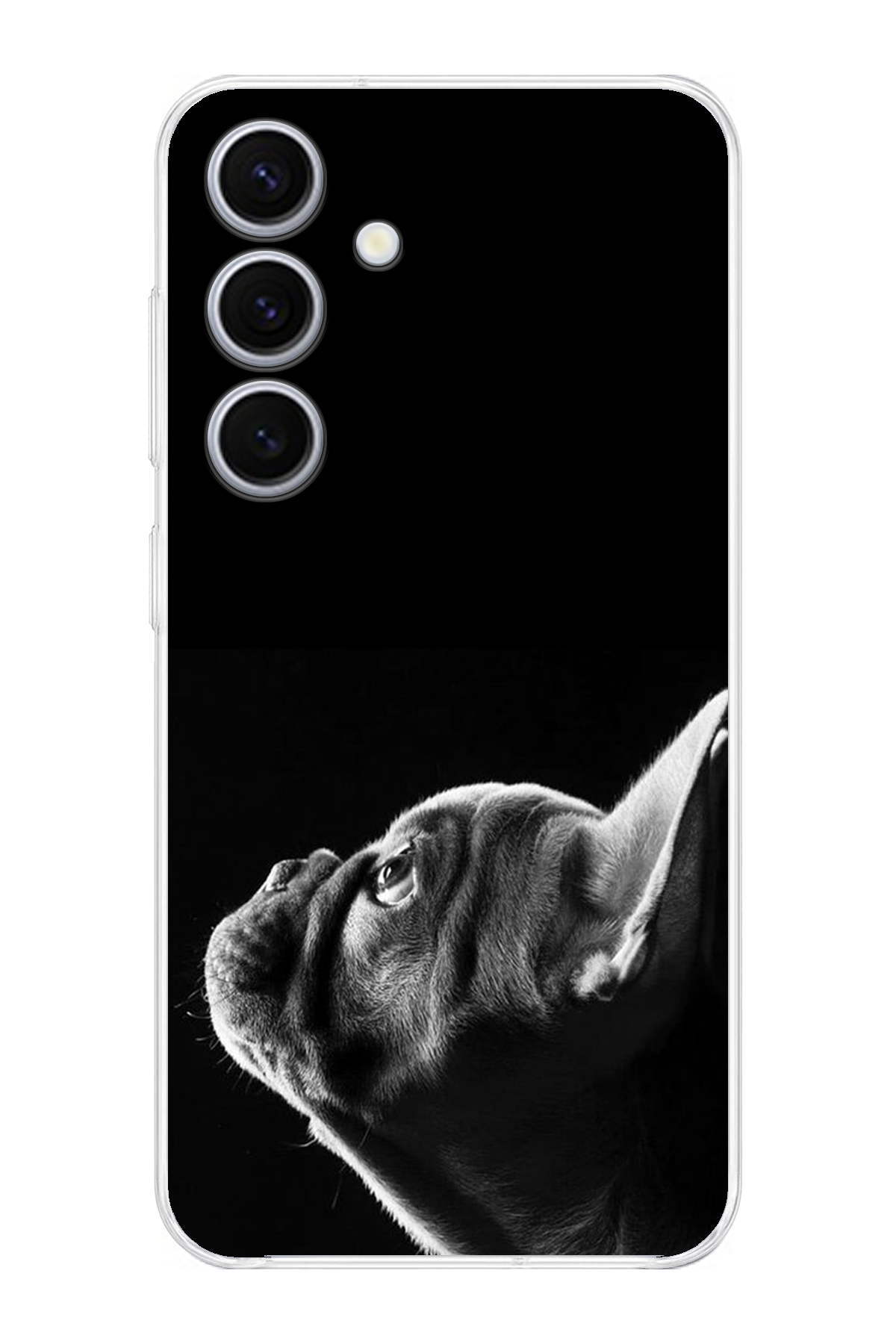 Samsung Galaxy S24 ile Uyumlu Köpek 1 Kamera Korumalı Şeffaf Kılıf