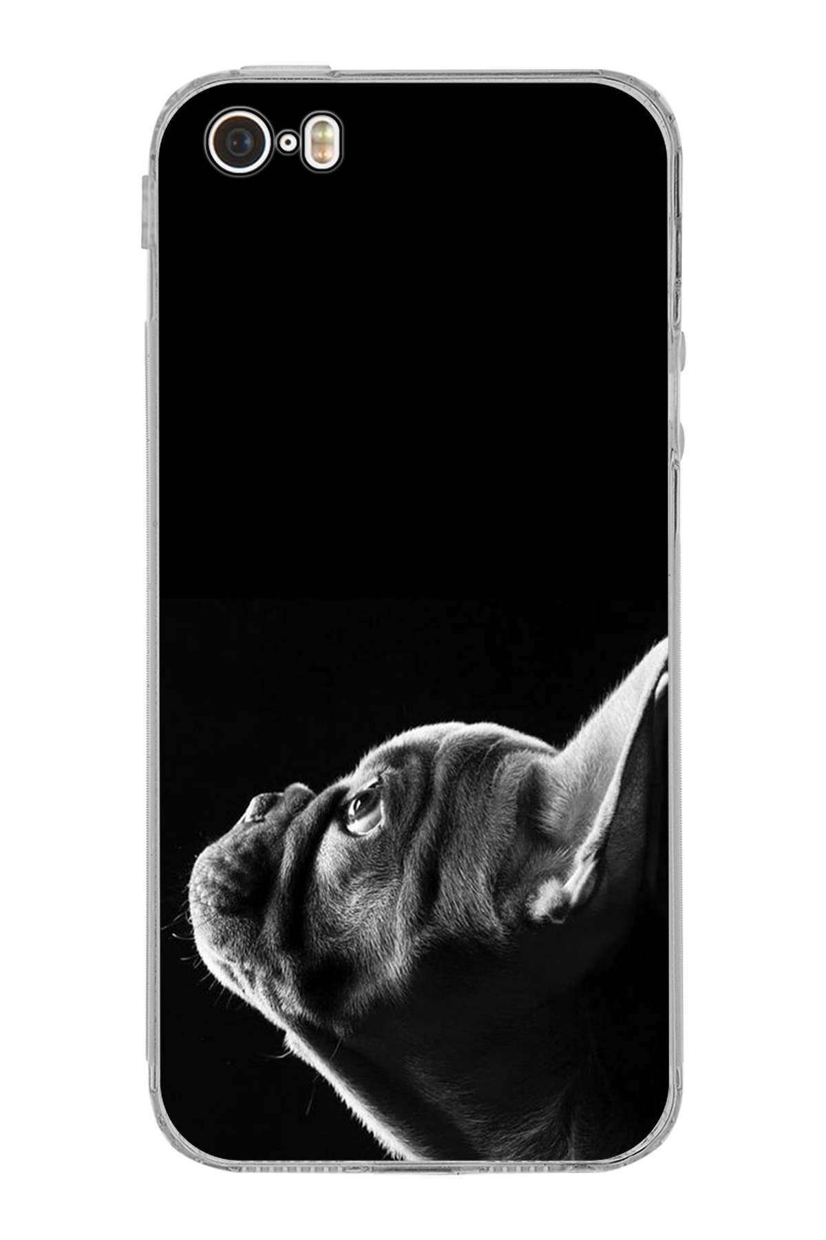 Iphone 5 ile Uyumlu Köpek 1 Kamera Korumalı Şeffaf Kılıf
