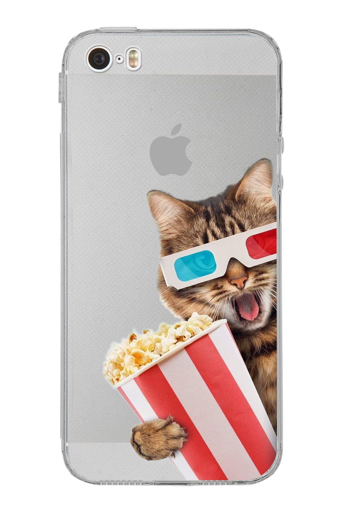 Iphone 5 ile Uyumlu Kedi 1 Kamera Korumalı Şeffaf Kılıf