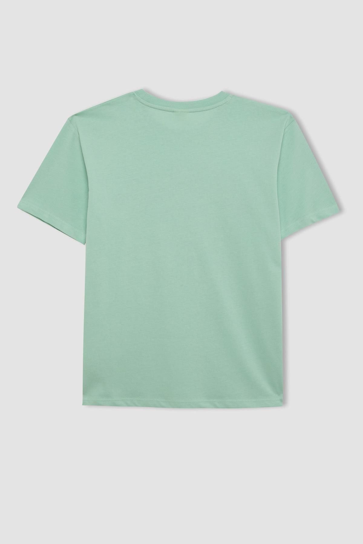 تی شرت پسرانه دفاکتو | D2248A824HS Defacto - Image 3