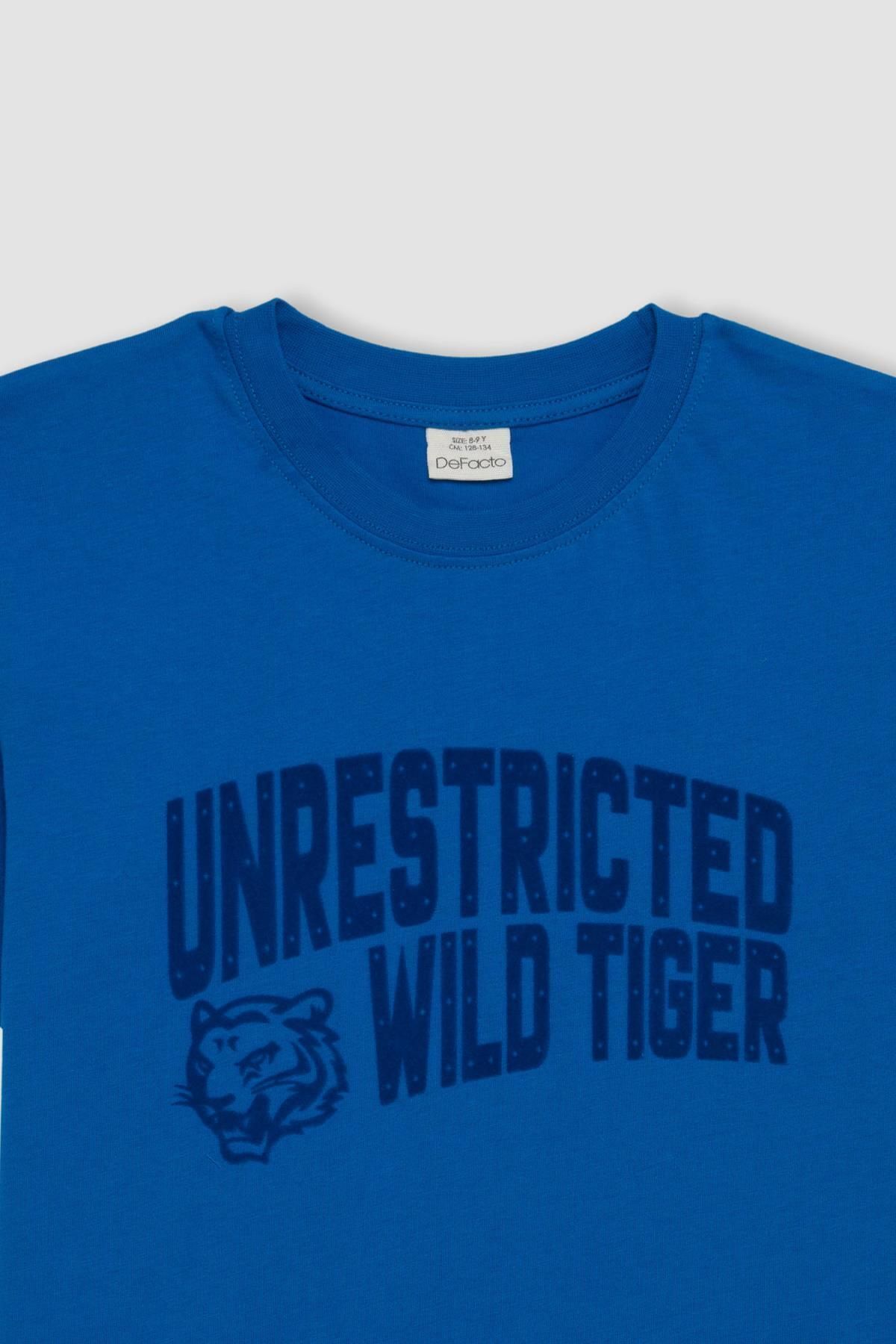 تی شرت پسرانه دفاکتو | D2225A824HS Defacto - Image 2