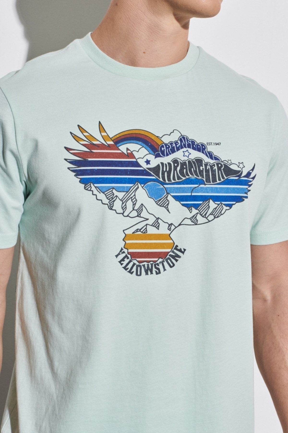تی شرت آبی مردانه به طور منظم مناسب برش طبیعی 100 ٪ یقه دوچرخه پنبه ای روشن T shirt Wrangler