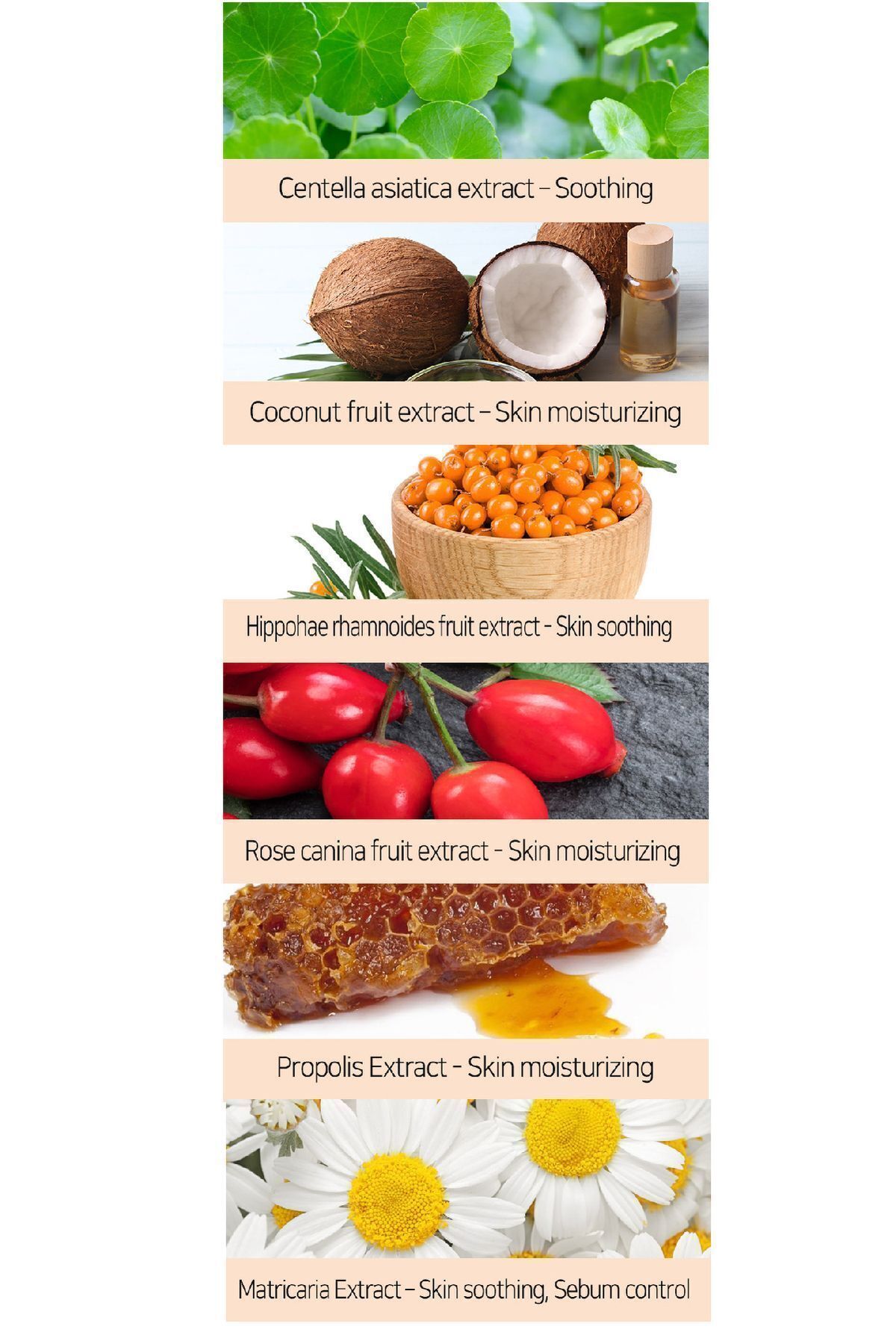 ضد آفتاب صورت   BEAUTYWAY | DAILYSUN اورجینال - تصویر 5