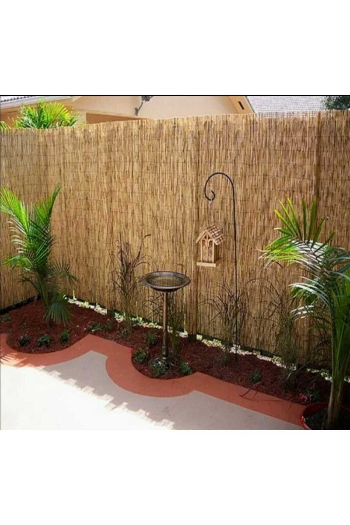 Cane wire mesh fence 2.5x 3