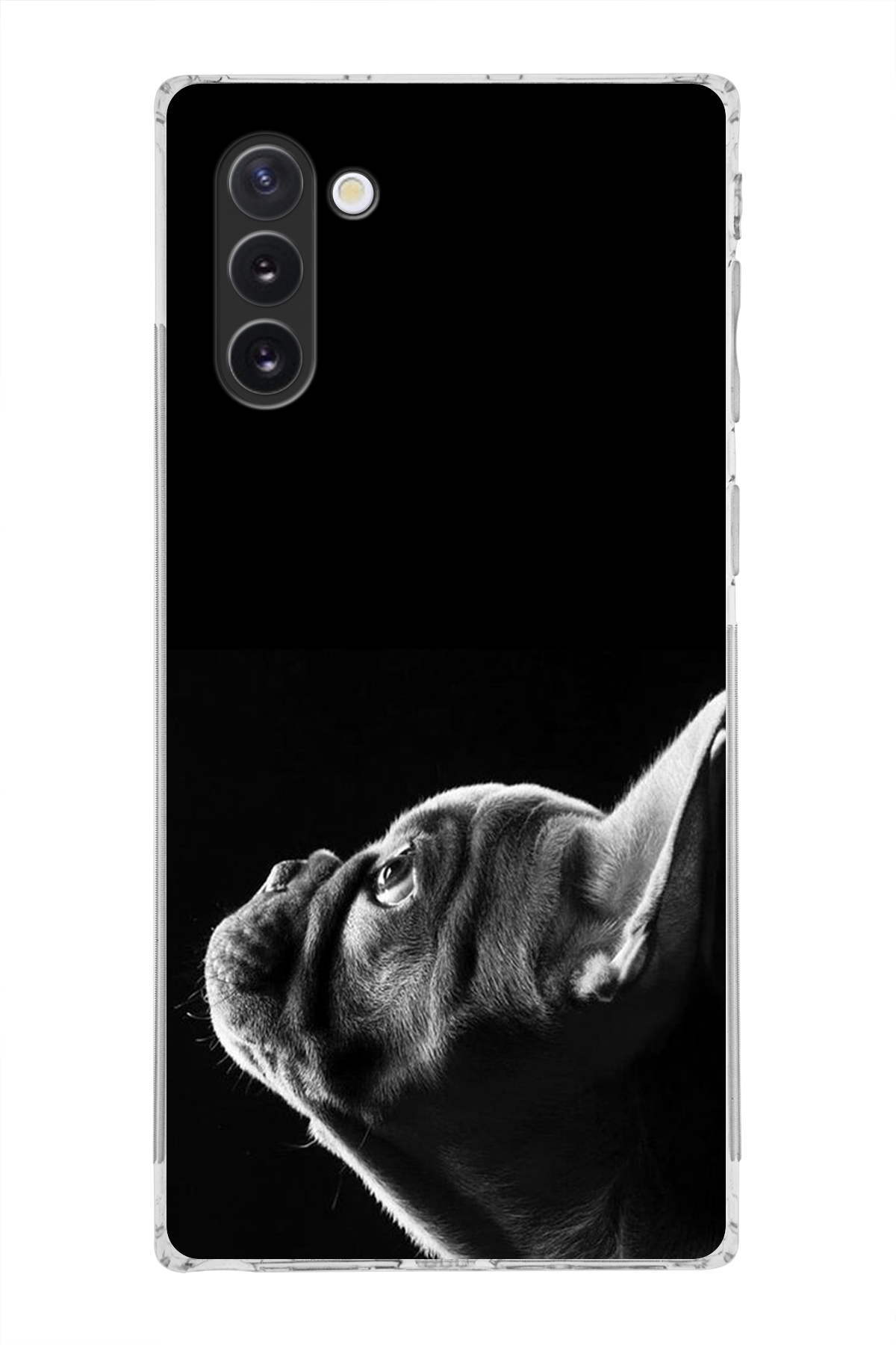 Samsung Galaxy Note 10 ile Uyumlu Köpek 1 Kamera Korumalı Şeffaf Kılıf