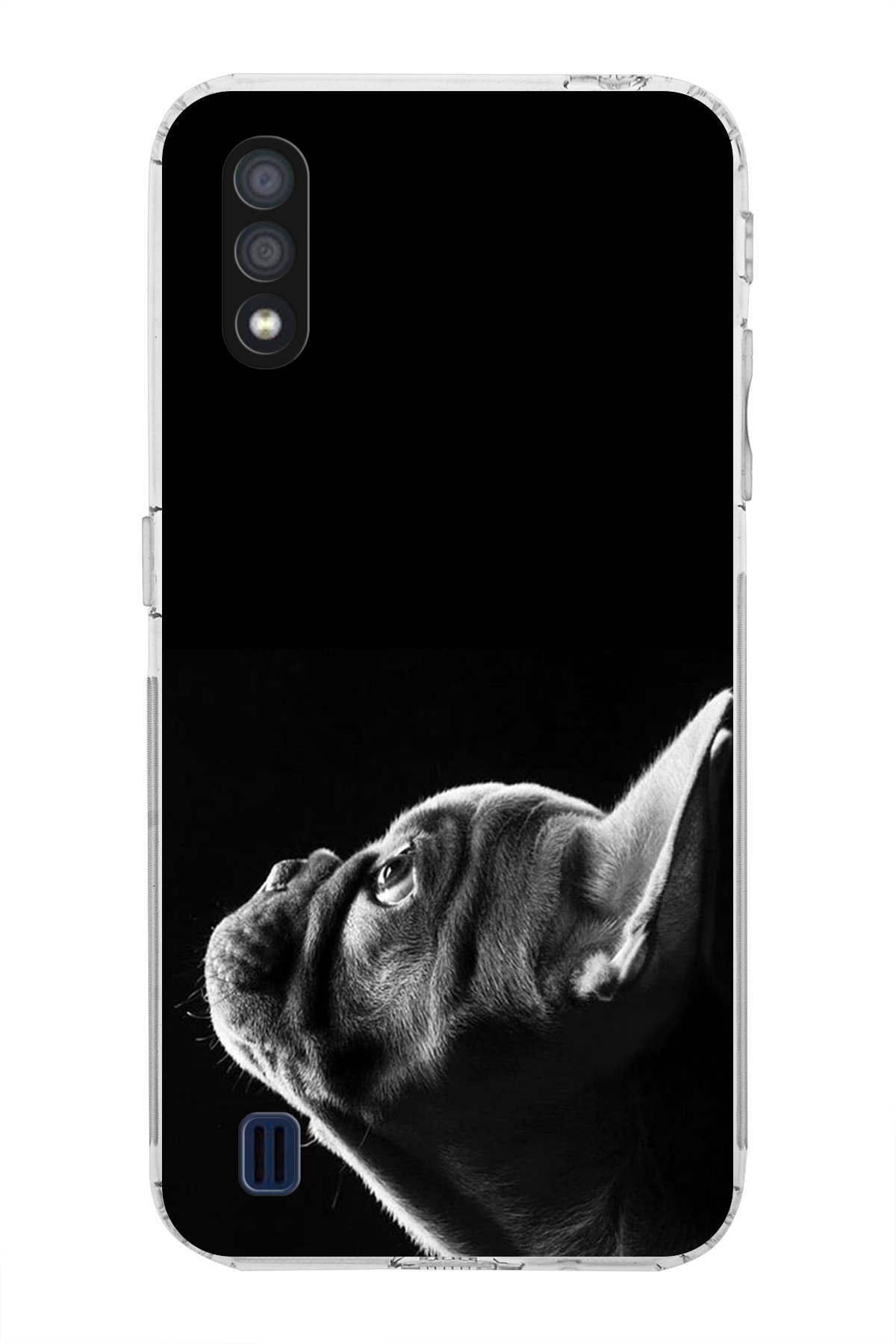 Samsung Galaxy A01 ile Uyumlu Köpek 1 Kamera Korumalı Şeffaf Kılıf