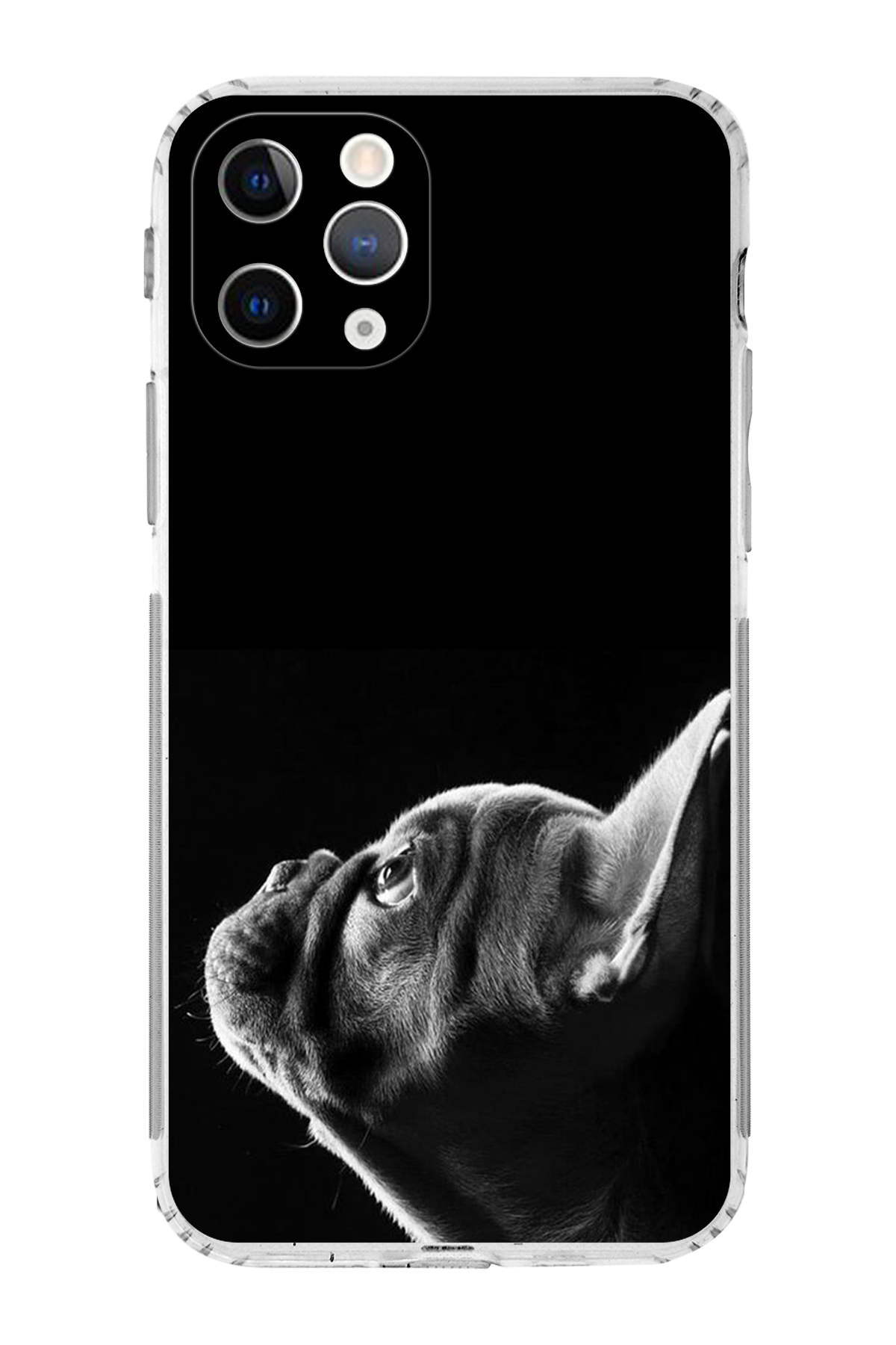 PrintiFy Apple iPhone11 Pro Max ile Uyumlu Köpek 1 Kamera Korumalı Şeffaf Kılıf