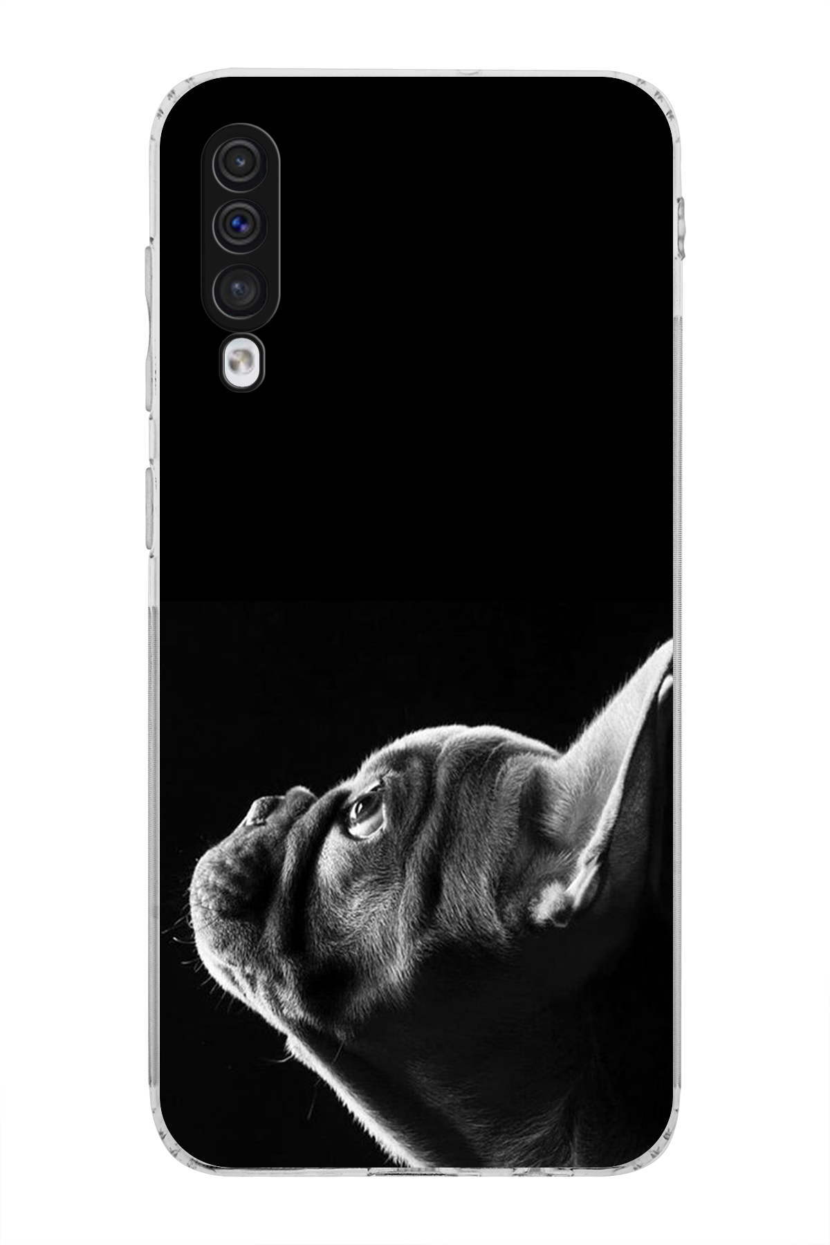 Samsung Galaxy A50 ile Uyumlu Köpek 1 Kamera Korumalı Şeffaf Kılıf