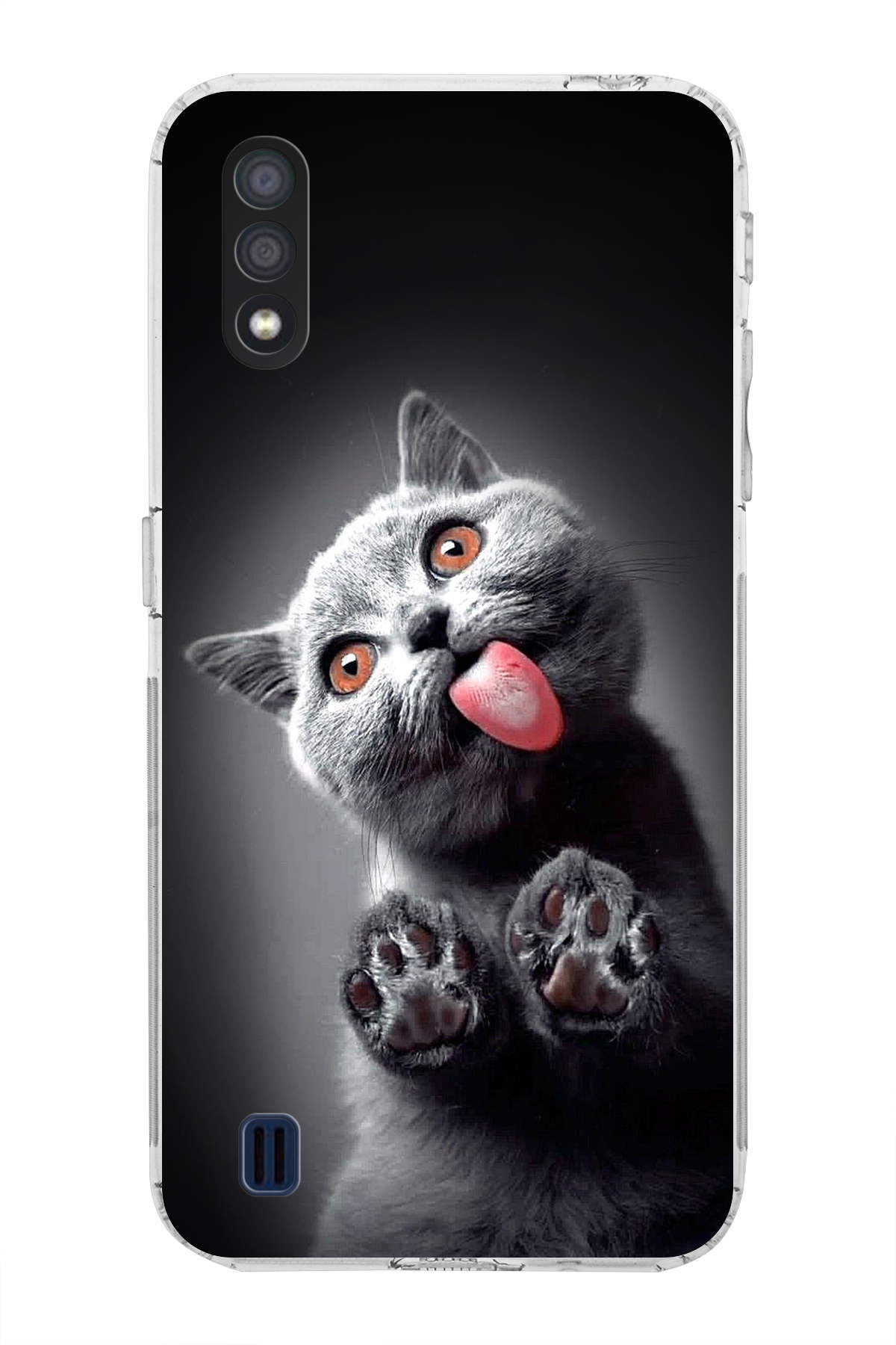Galaxy A01 ile Uyumlu Kedi 2 Kamera Korumalı Şeffaf Kılıf