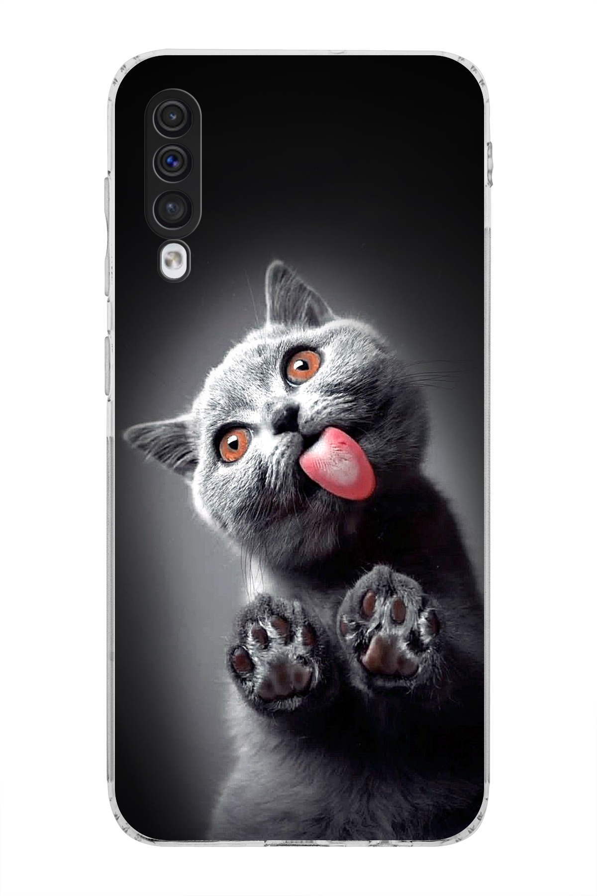 Samsung Galaxy A50 ile Uyumlu Kedi 2 Kamera Korumalı Şeffaf Kılıf
