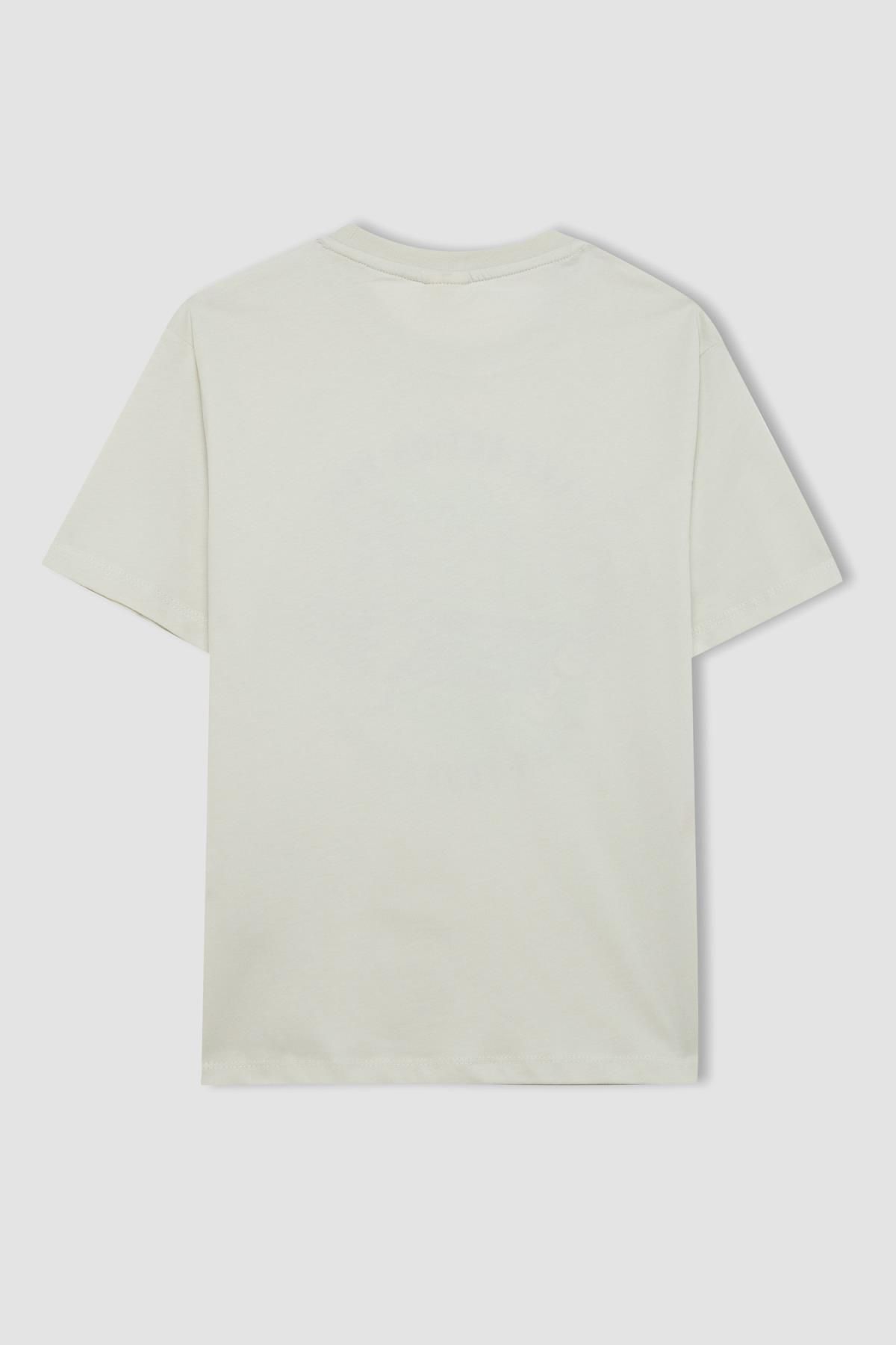 تی شرت پسرانه دفاکتو | D0441A824SM Defacto - Image 3