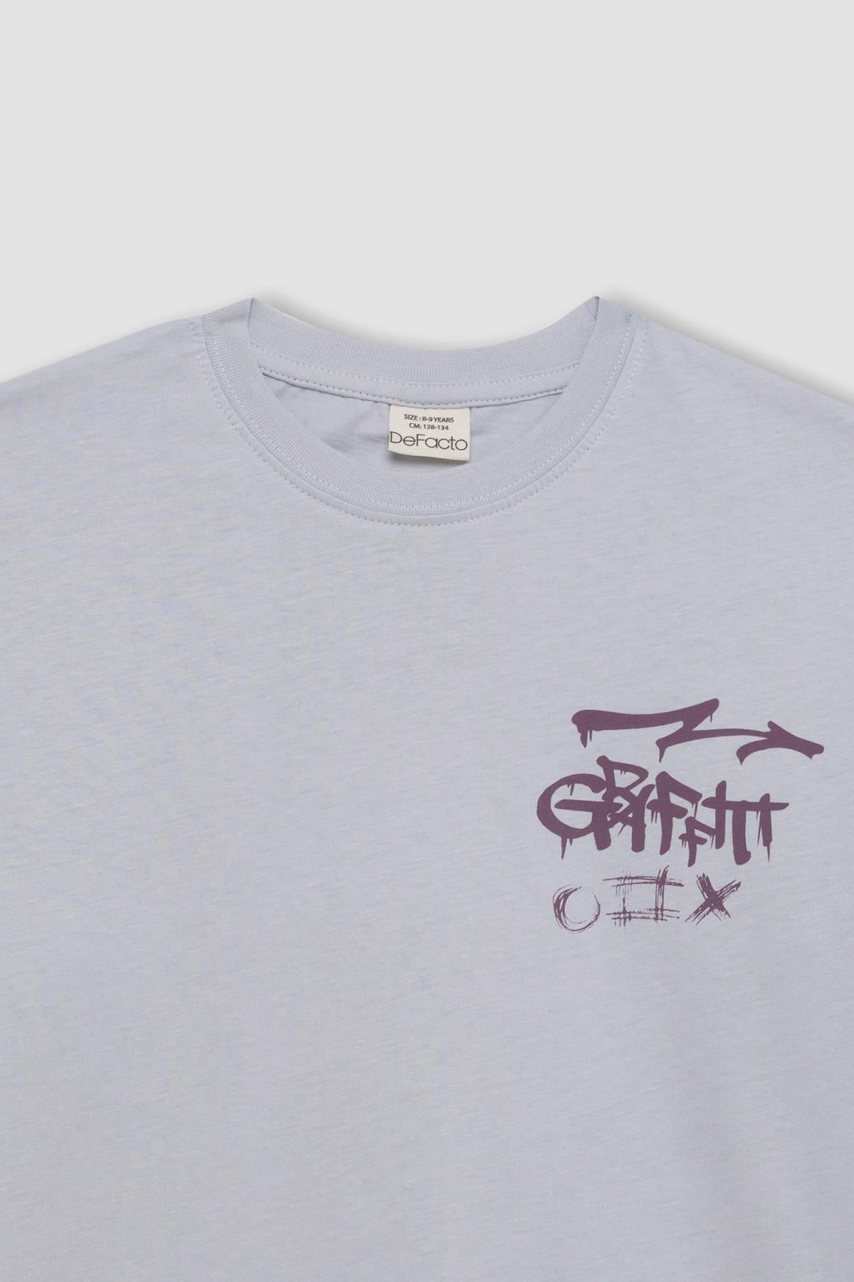 تی شرت پسرانه دفاکتو | C6284A824HS Defacto - Image 2