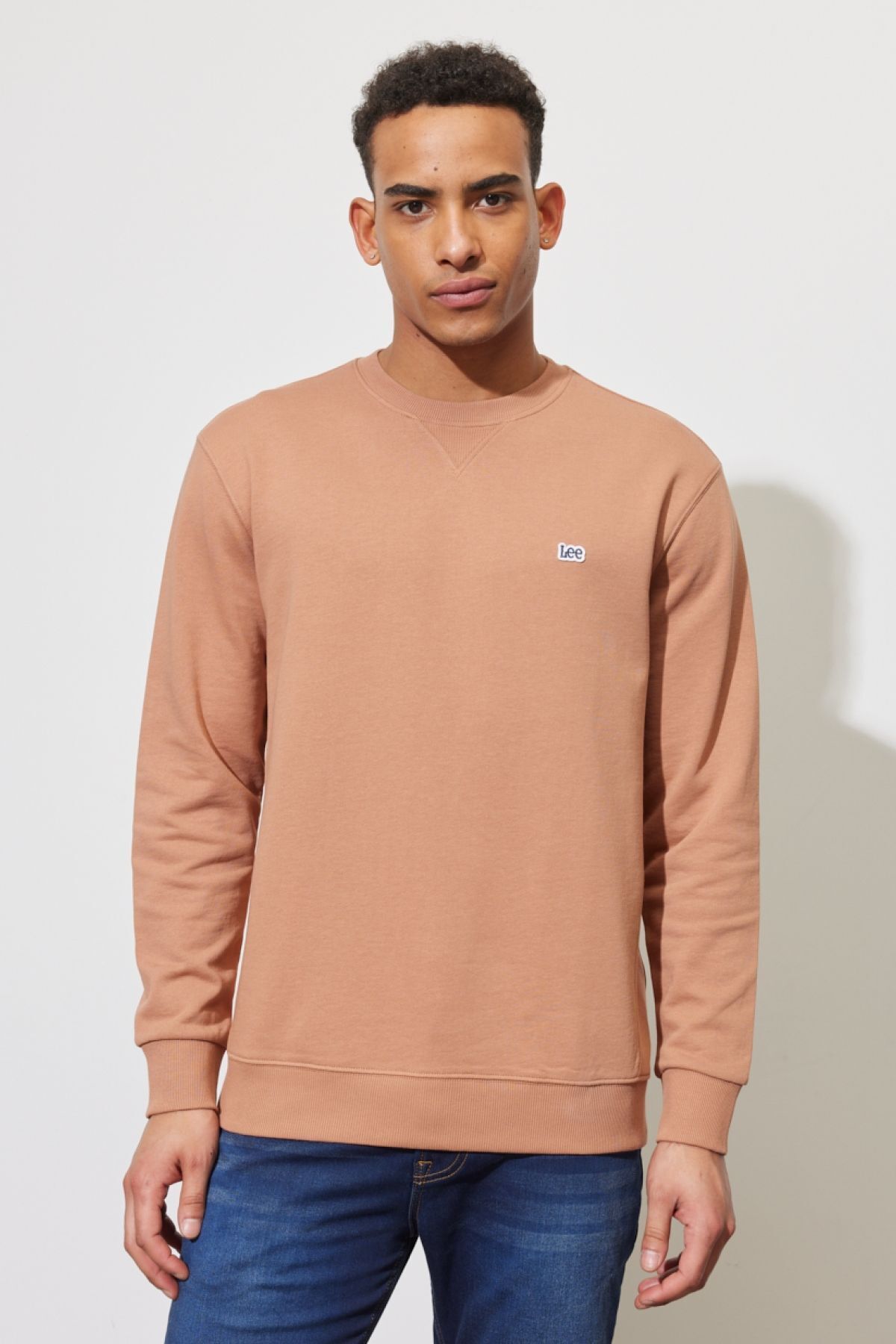 لی سایز معمولی، برش معمولی، ۱۰۰٪ پنبه، یقه گرد، سویشرت دارچینی