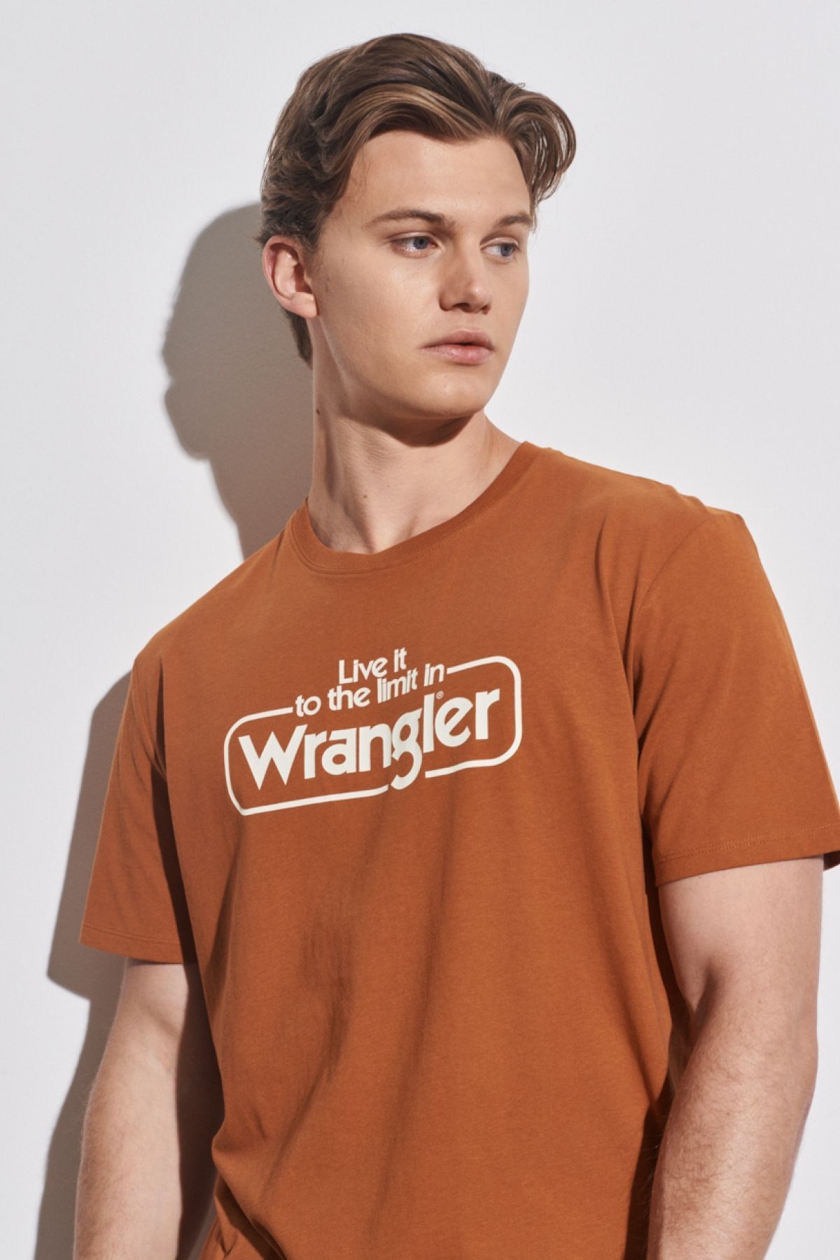 تی شرت چند رنگ مردانه معمولی مناسب برش طبیعی 100 ٪ دوچرخه پنبه ای yaka caramel t shirt Wrangler