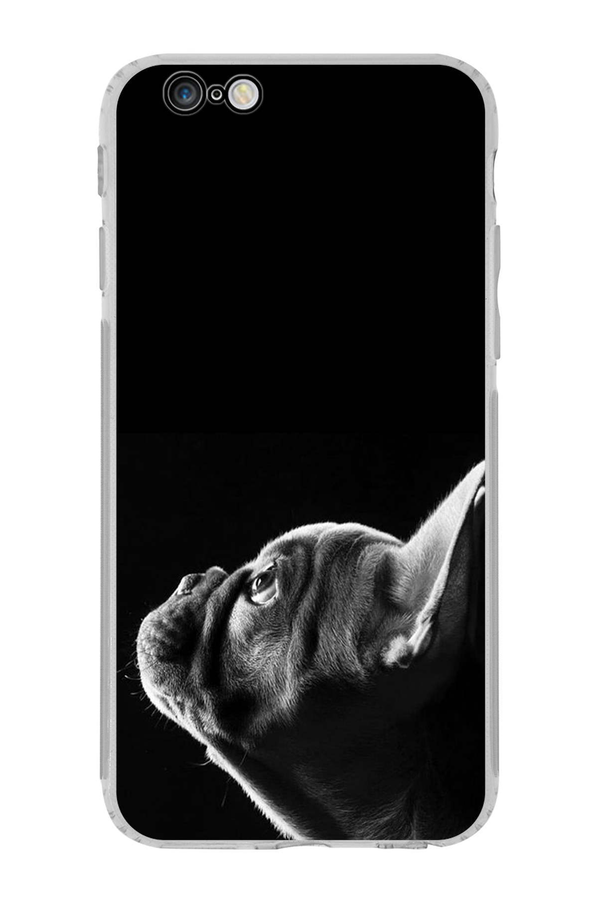 PrintiFy Apple iPhone 6 ile Uyumlu Köpek 1 Kamera Korumalı Şeffaf Kılıf