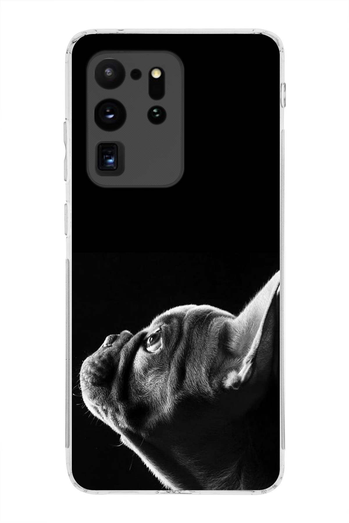 Samsung Galaxy S20 Ultra ile Uyumlu Köpek 1 Kamera Korumalı Şeffaf Kılıf