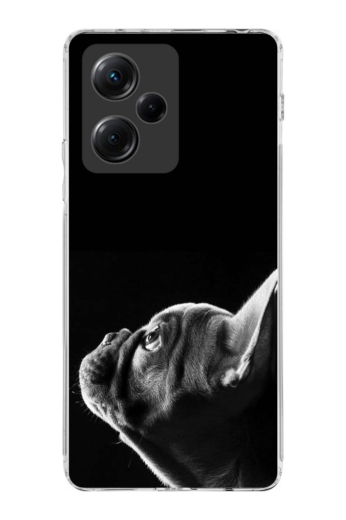 Poco X5 Pro 5G ile Uyumlu Köpek 1 Kamera Korumalı Şeffaf Kılıf