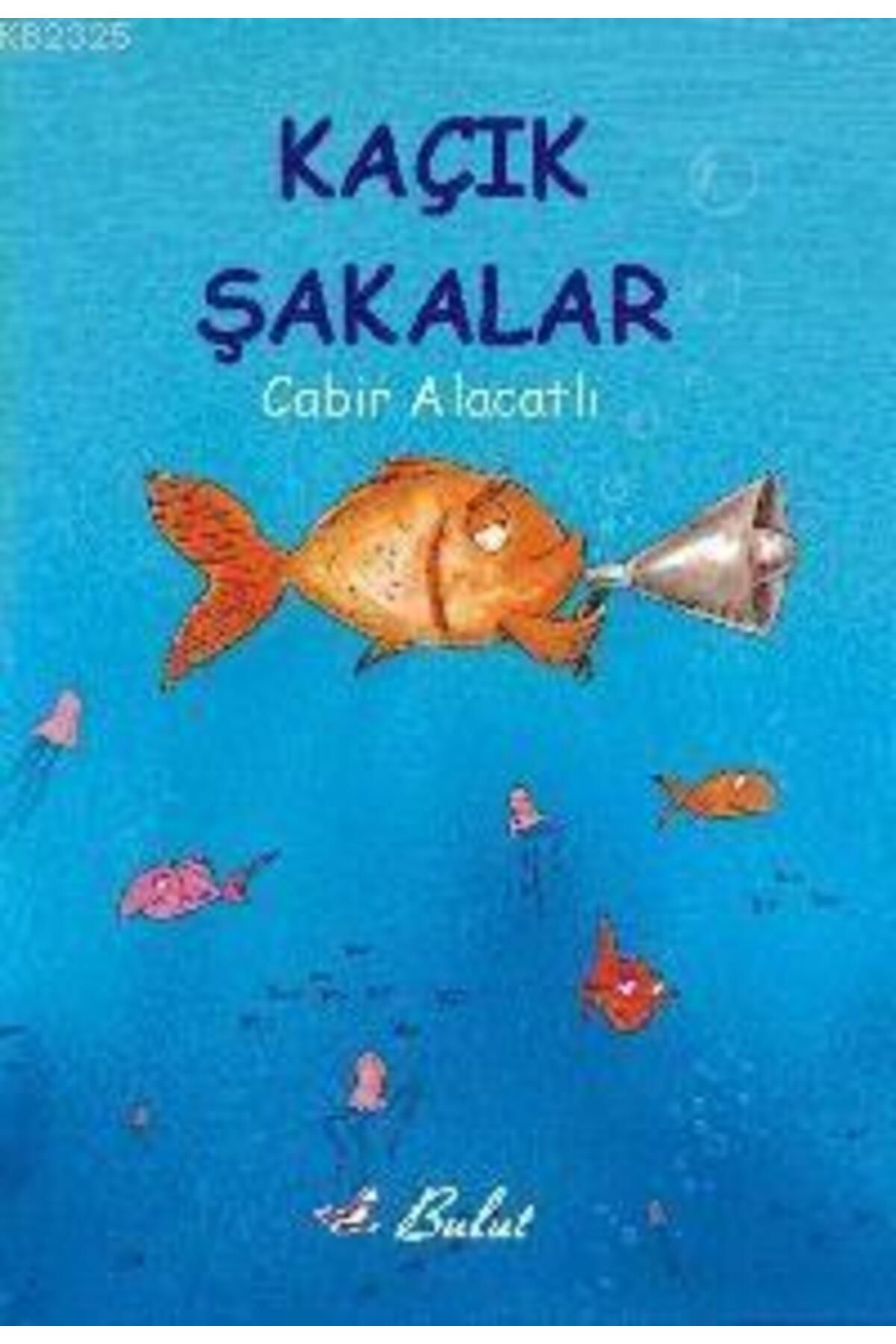 Bulut Yayınları Kaçık Şakalar - 9