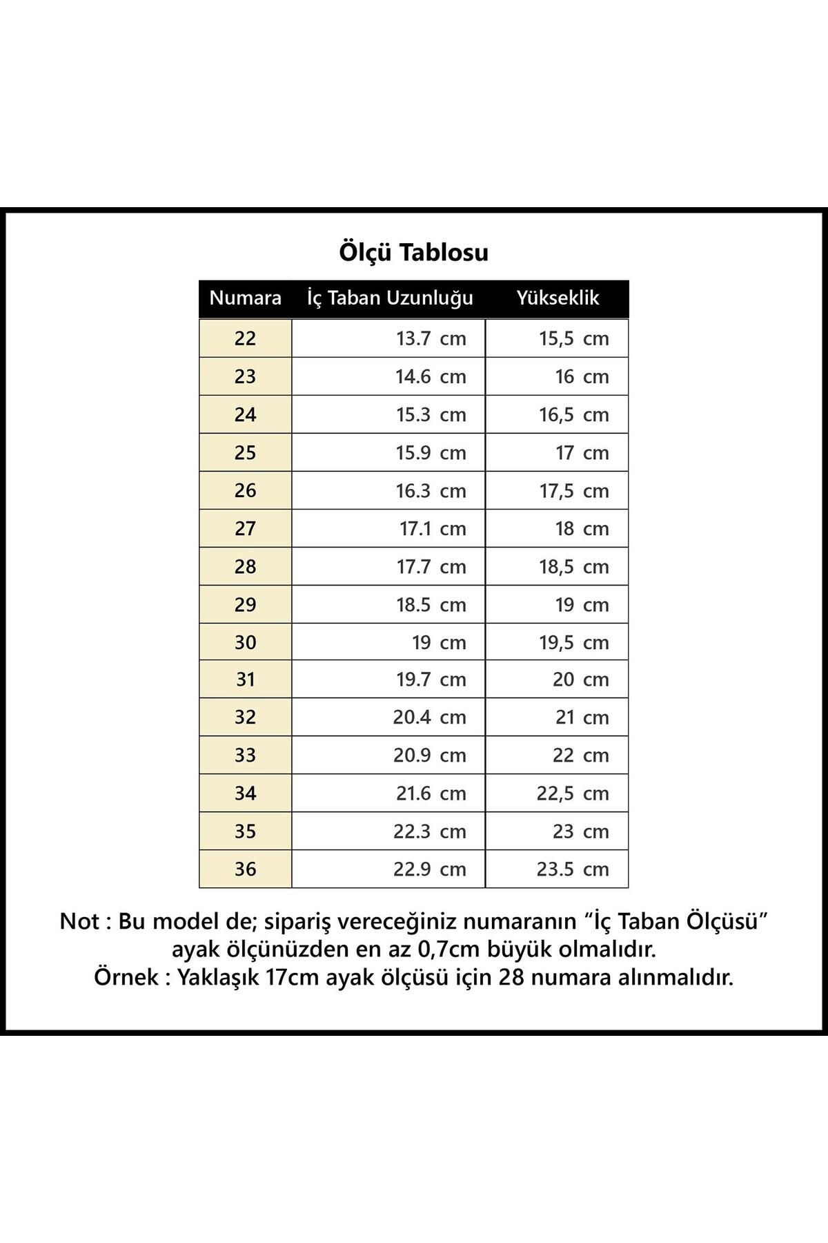 1 org zoom - ترند تهران