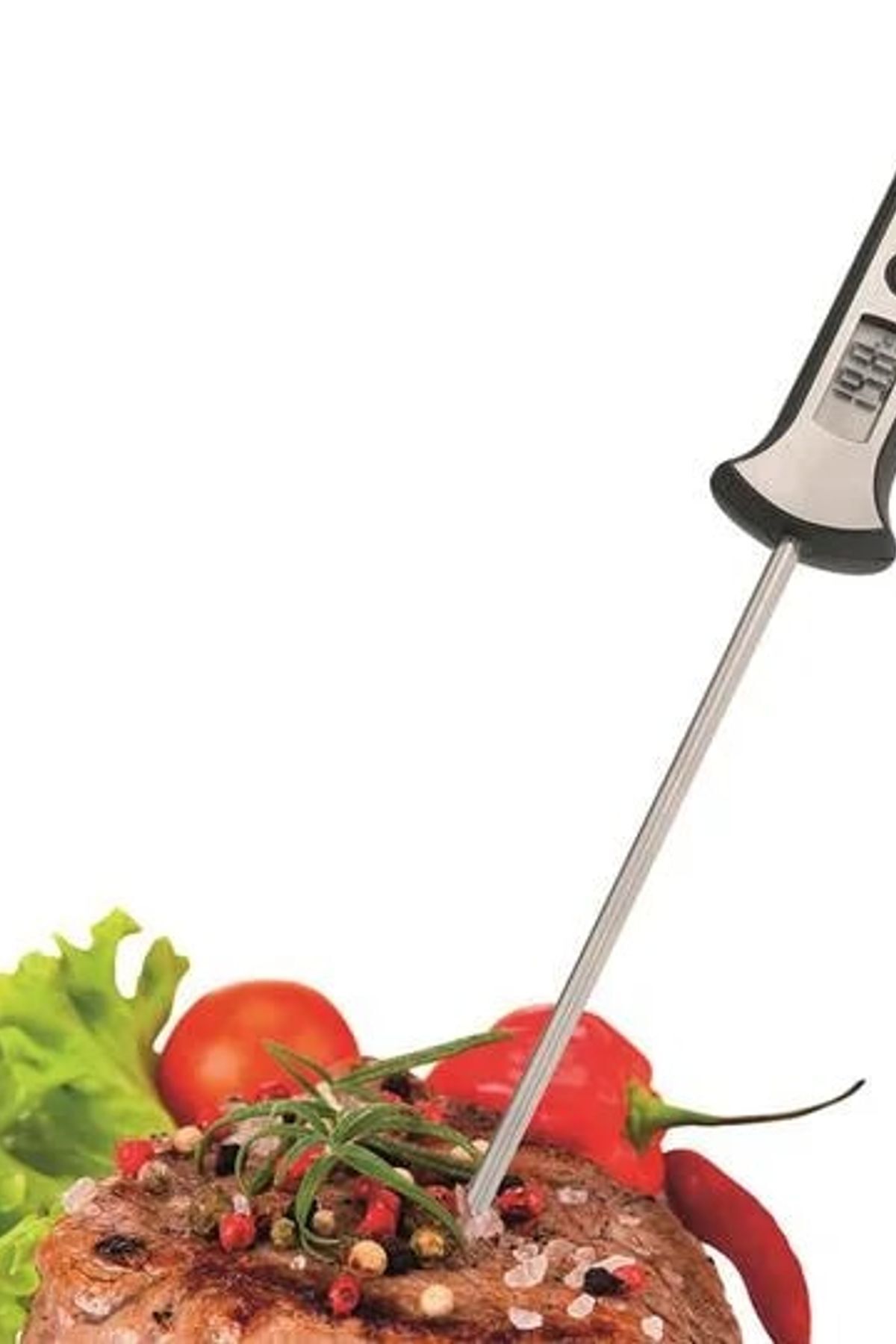 GEFU-Scala Easily Readable LCD Display Digital Thermometer 21820 3
