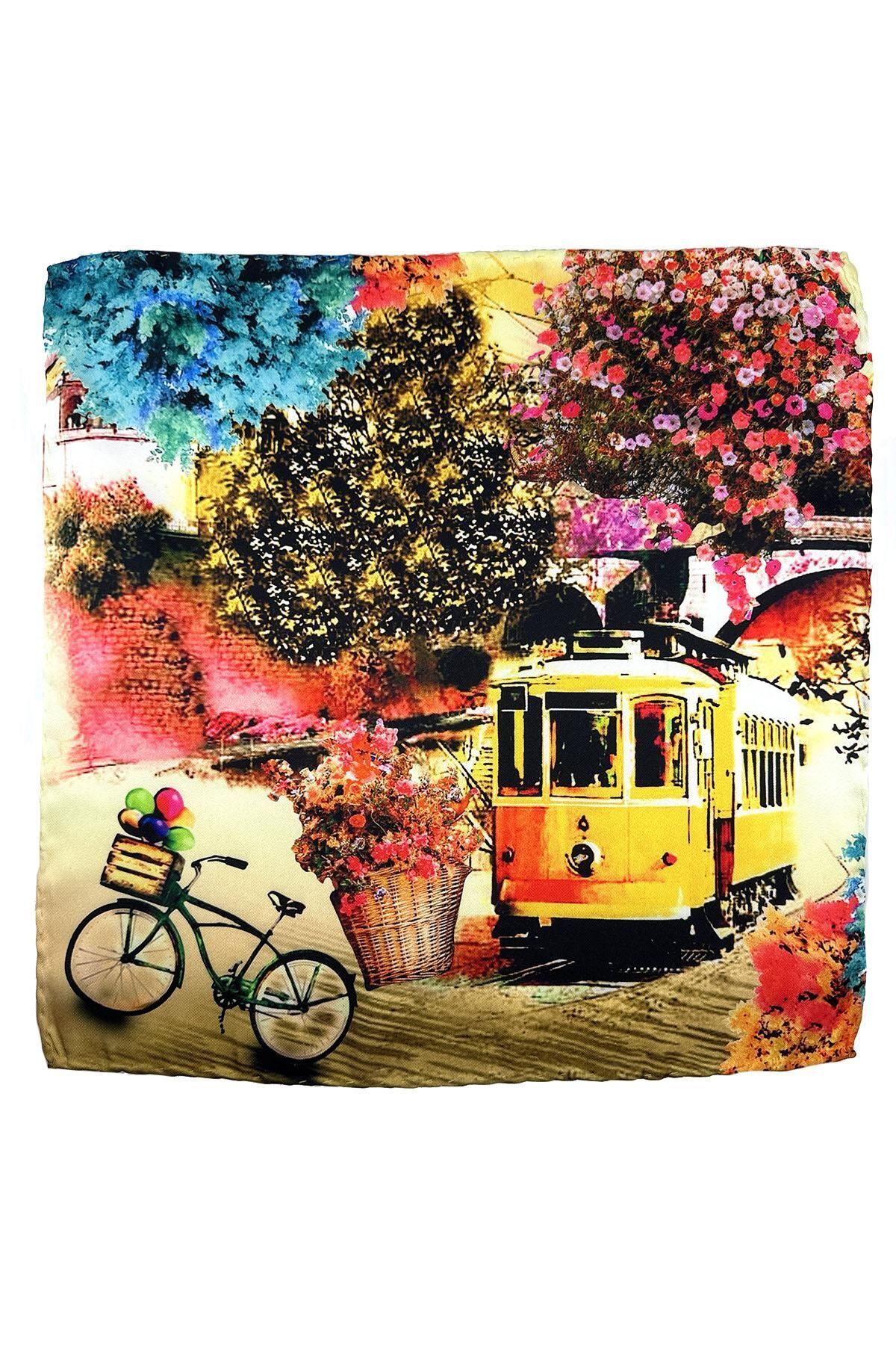  دستمال جیبی مردانه طرح دار رنگارنگ SPS633-113