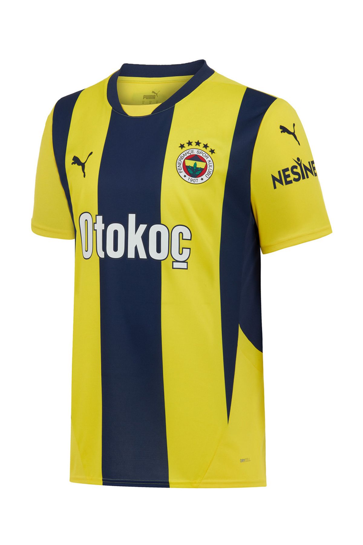 پیراهن راه راه فصل جدید 2024/2025 Fenerbahçe