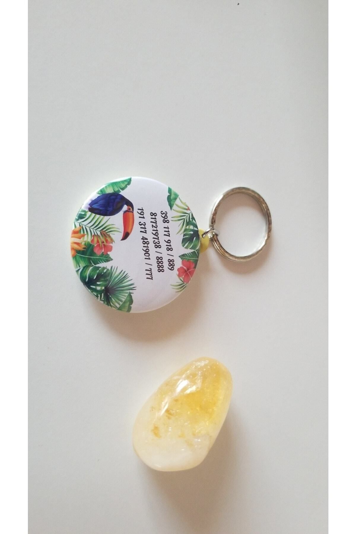 Anatolia-Toucan Bird Symbol School Success and Ability Number Sequential Keychain 2