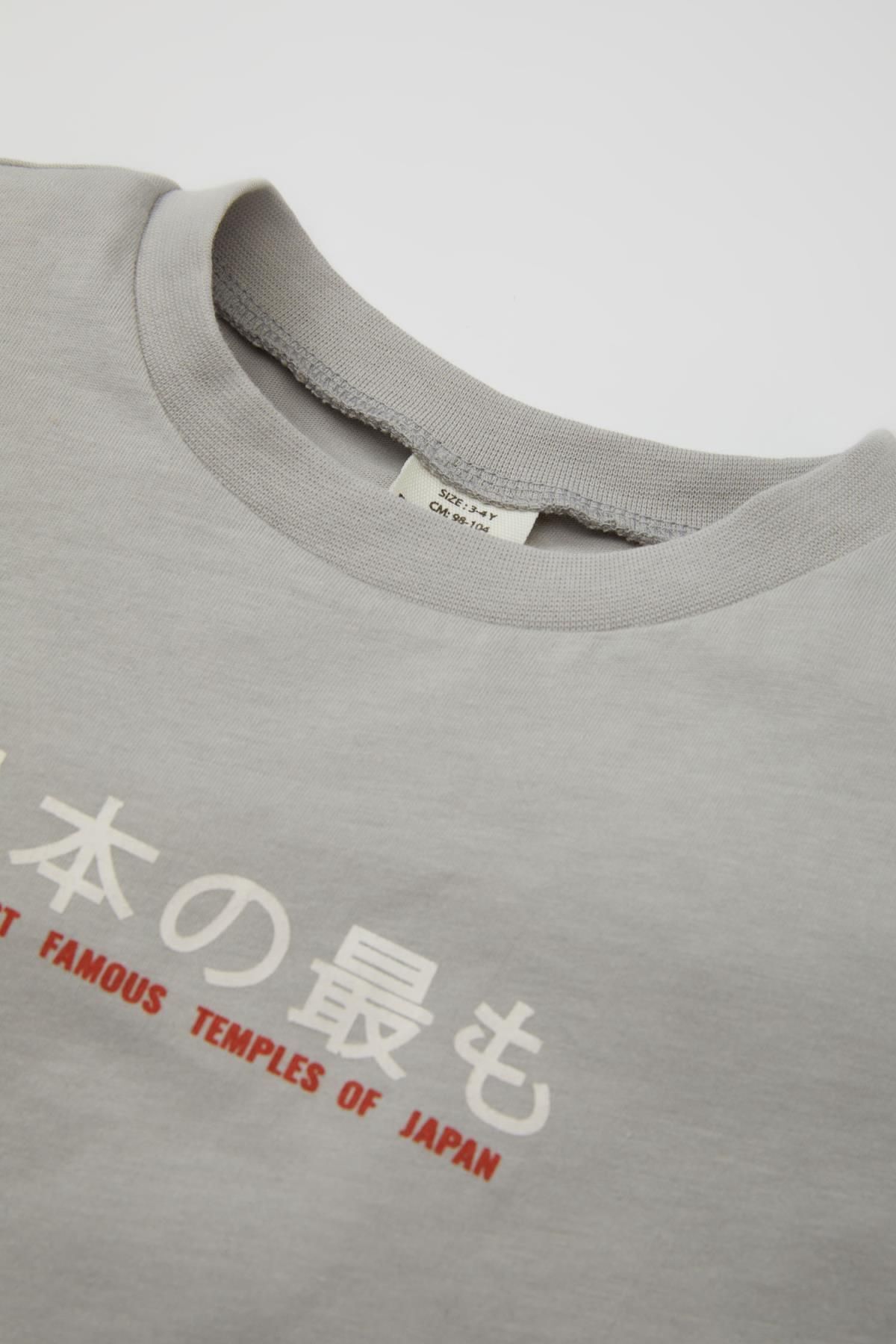 تی شرت پسرانه دفاکتو | D3827A524SM Defacto - Image 2