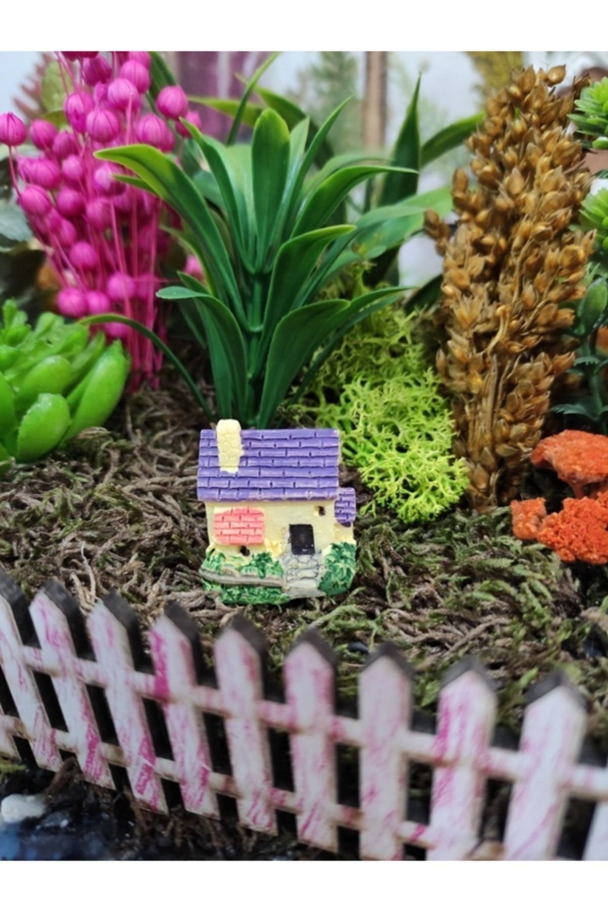 Minik Ev Teraryum Obje Saksı Süsleri Minyatür Obje Teraryum Diorama Malzemeleri