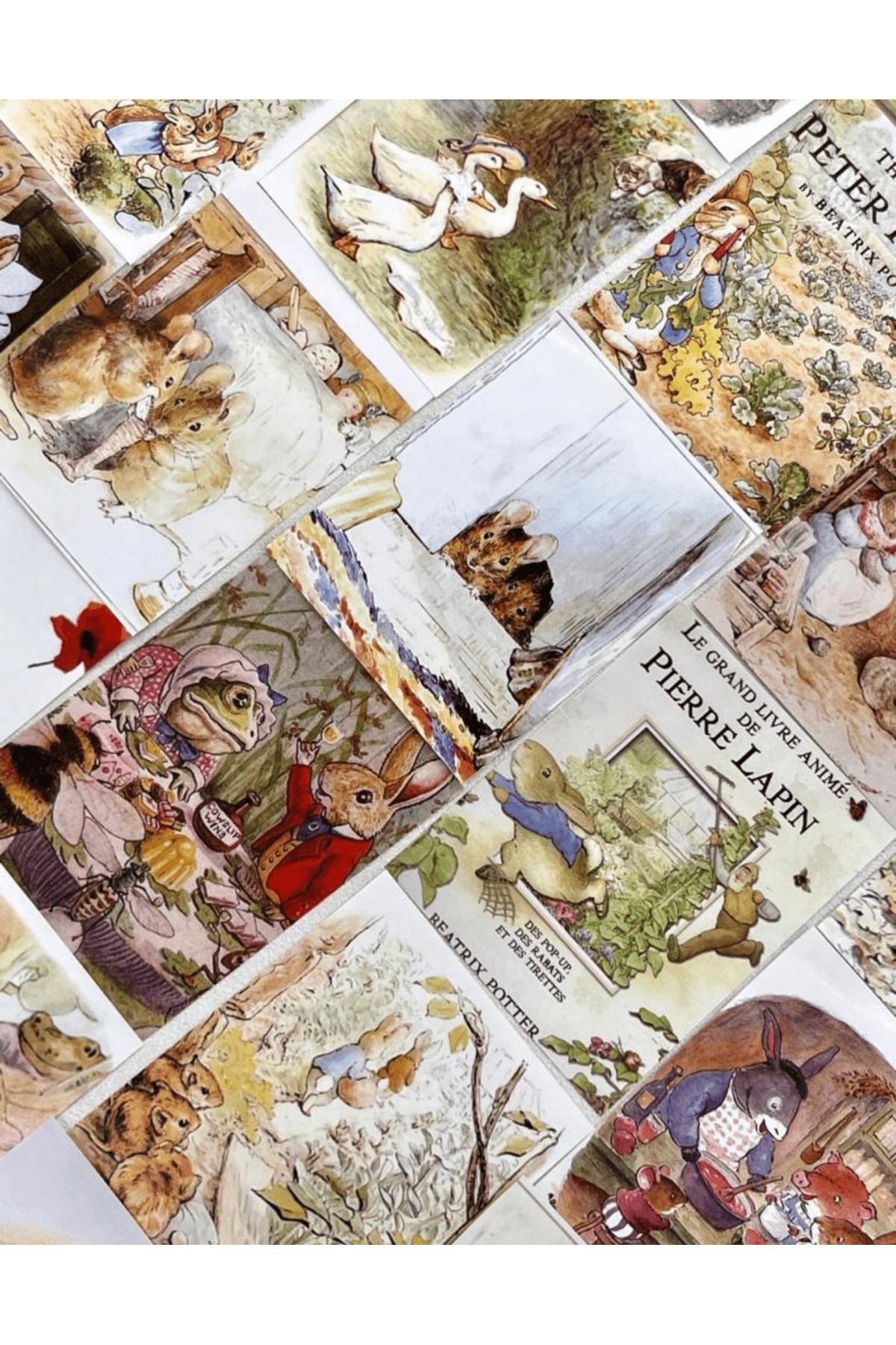 Kağıt Gemi Dükkan-The World Of Peter Rabbit And His Friends Themed 400 Sheets Mini Notebook Scrapbook Paper Set 2